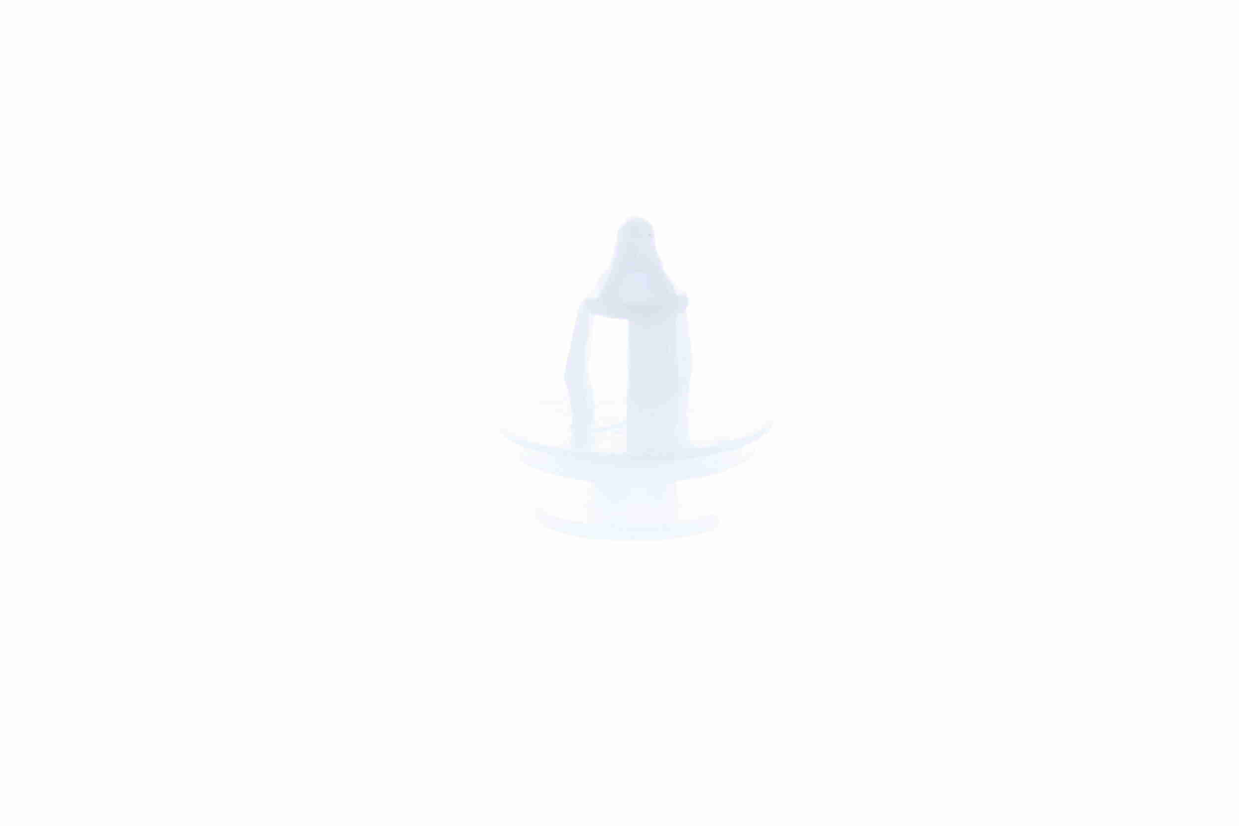 Clip Vaico V22-0197