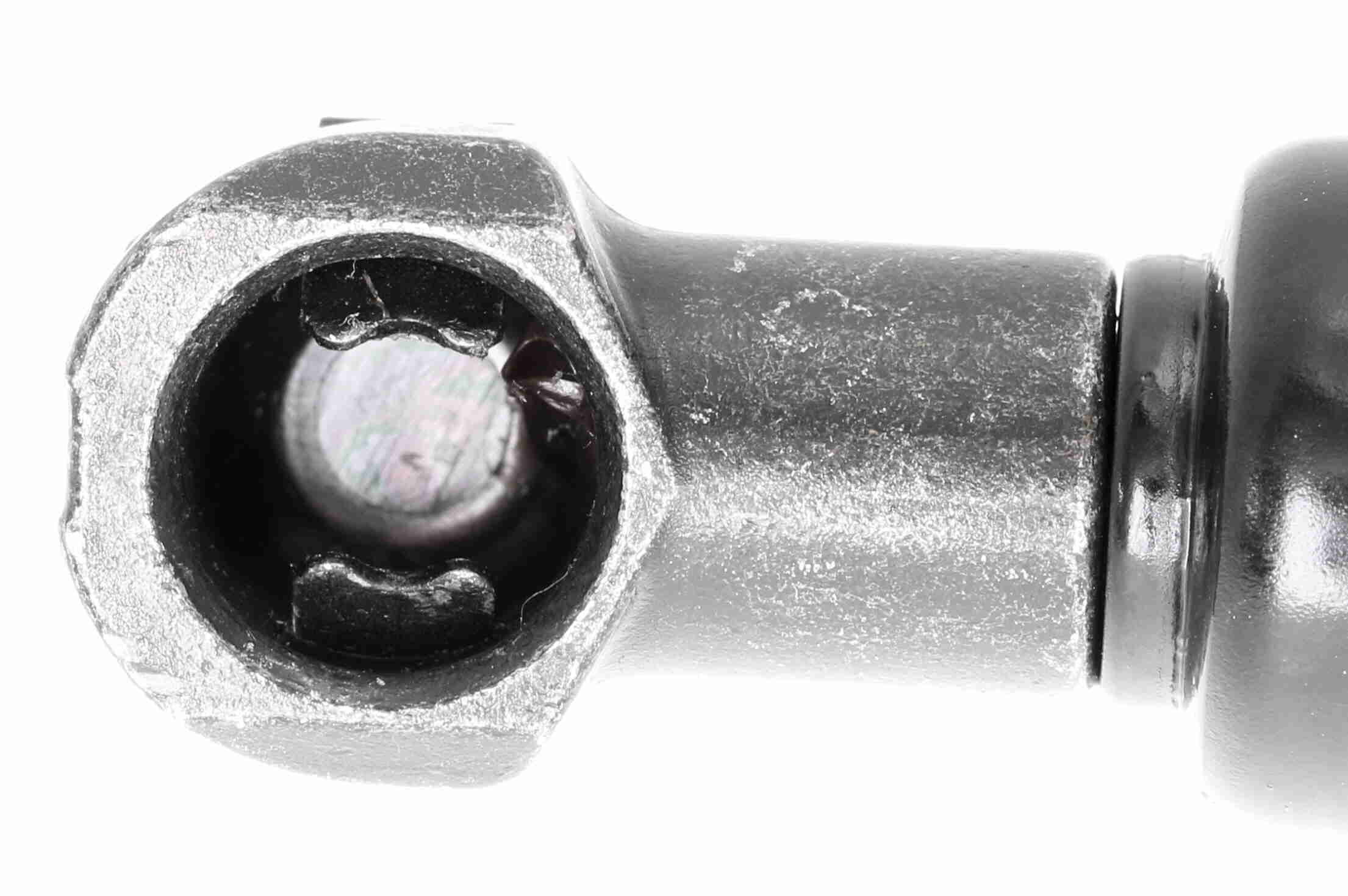 Vaico Gasveer, motorkap V24-0197