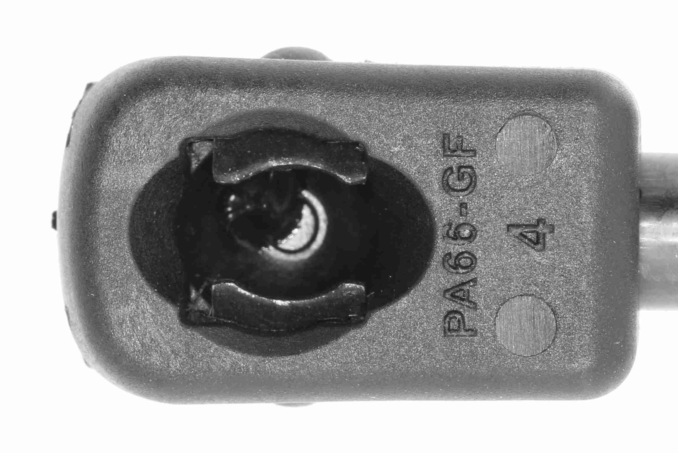 Vaico Gasveer, motorkap V24-0201