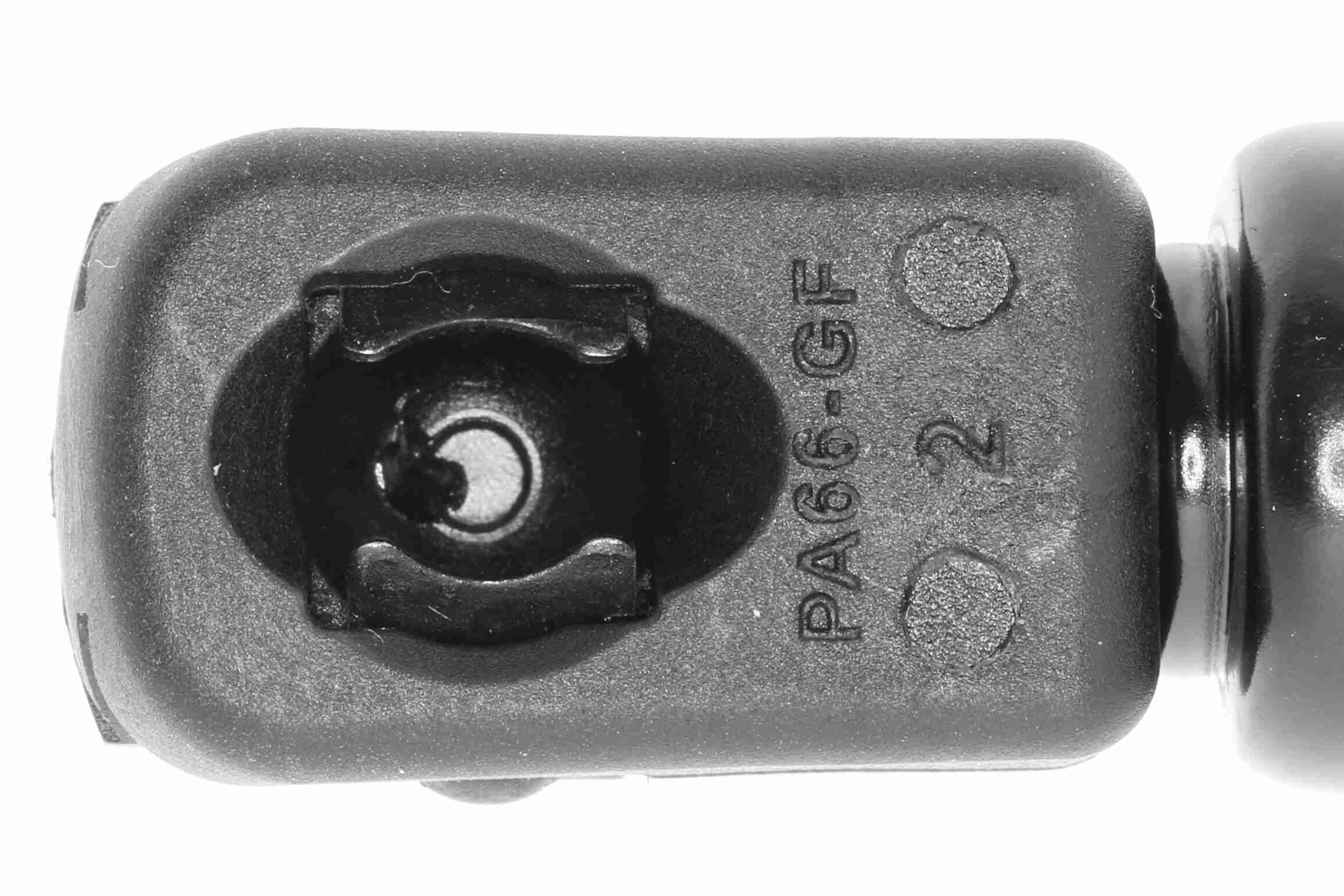 Vaico Gasveer, motorkap V24-0201