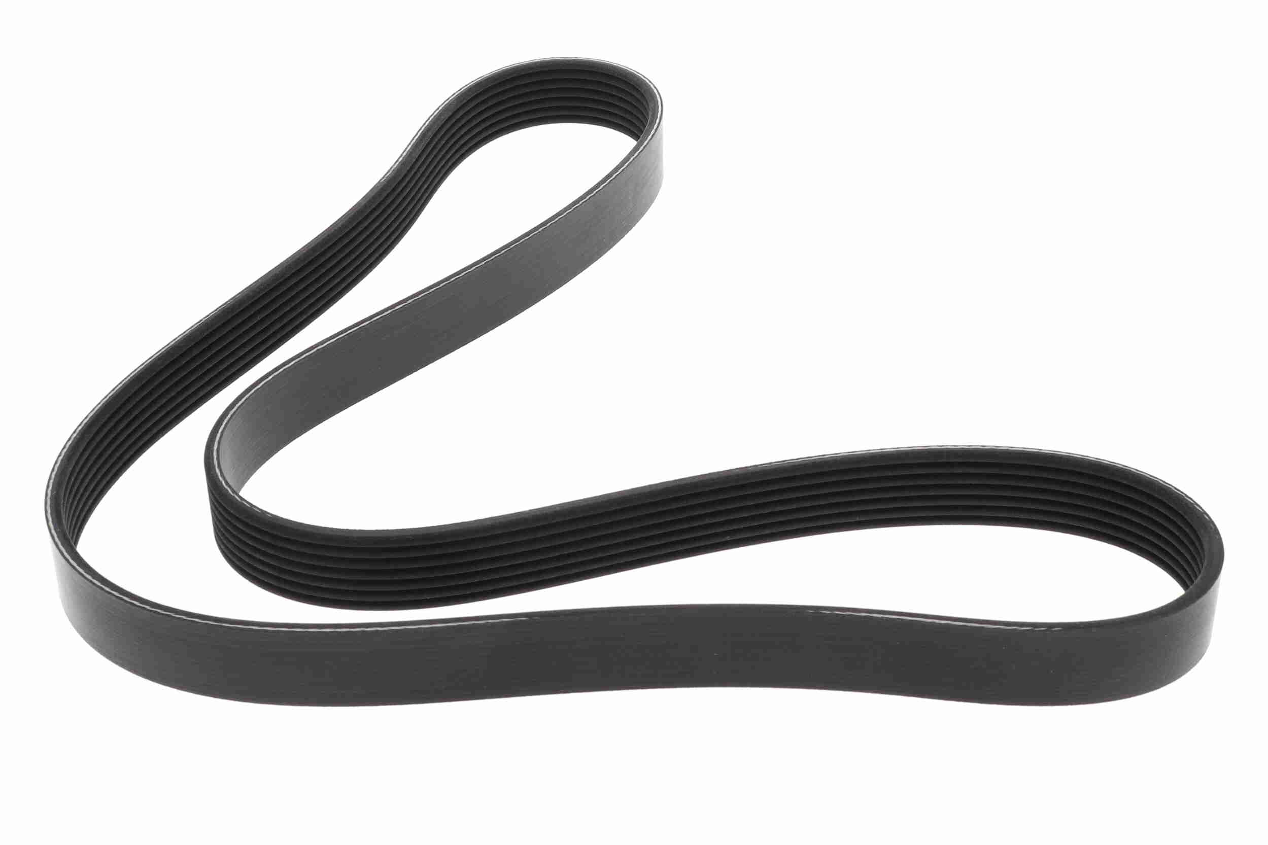 Poly V-riem Vaico V24-1209