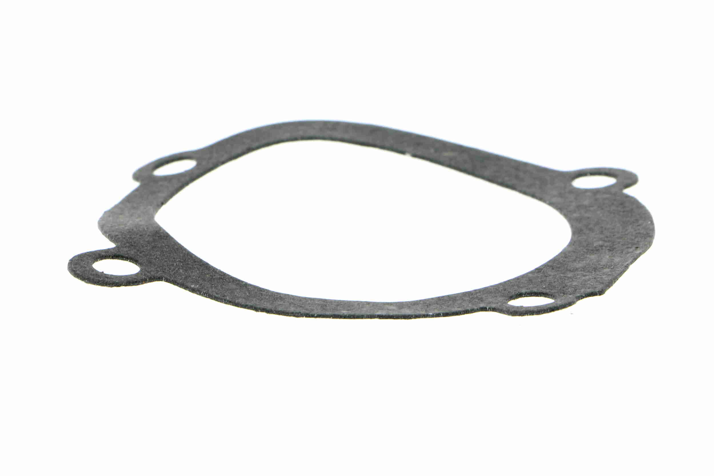 Vaico Waterpomp V24-50002