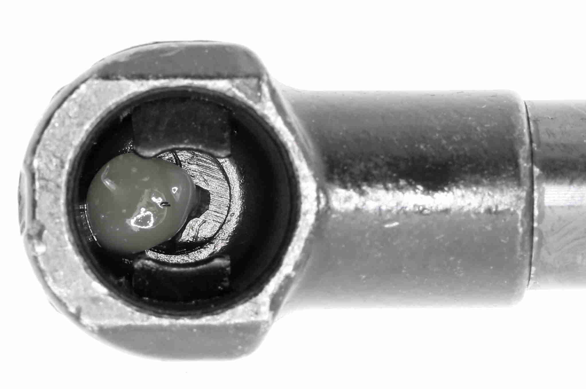 Vaico Gasveer, motorkap V30-2049