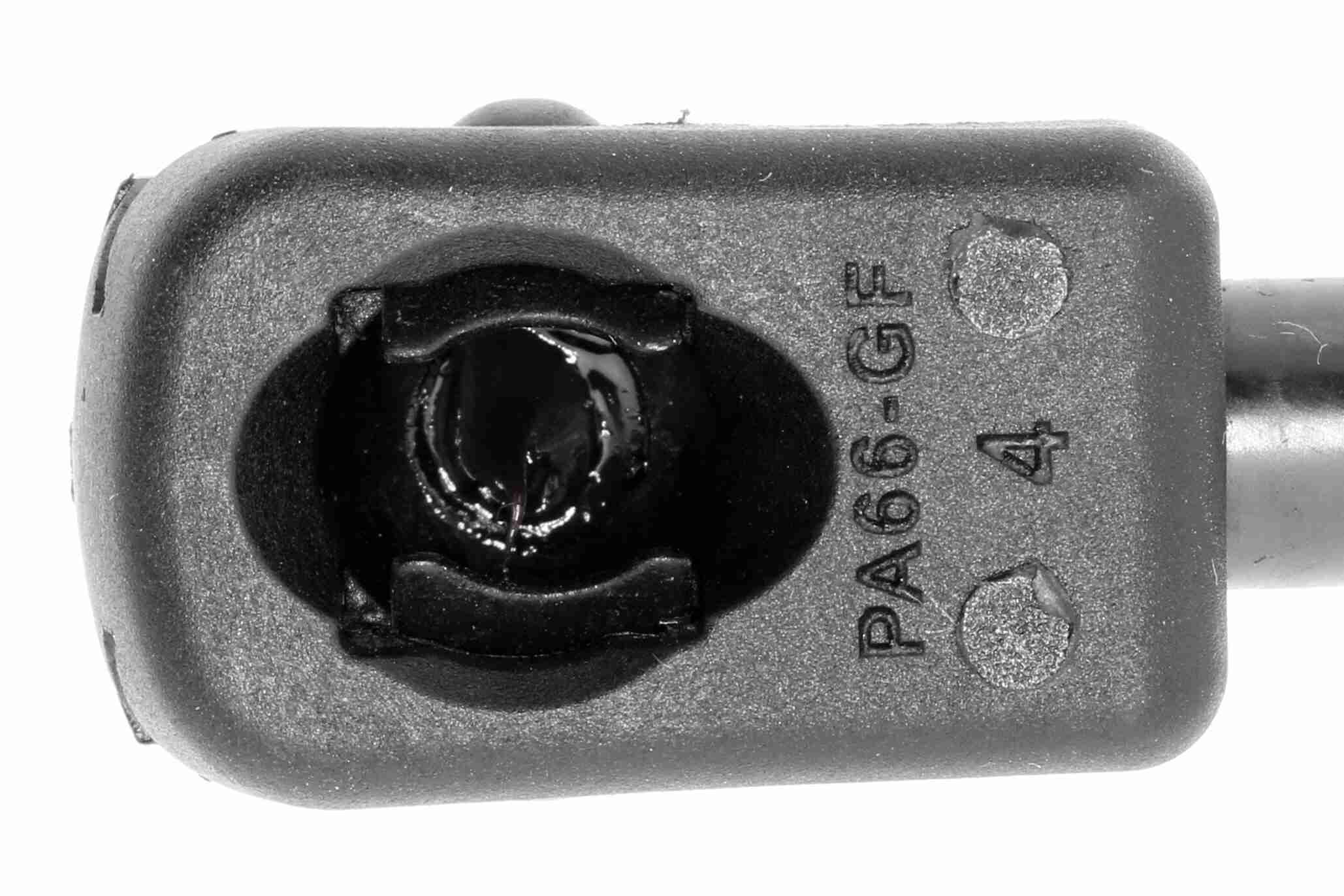 Vaico Gasveer, motorkap V30-2873