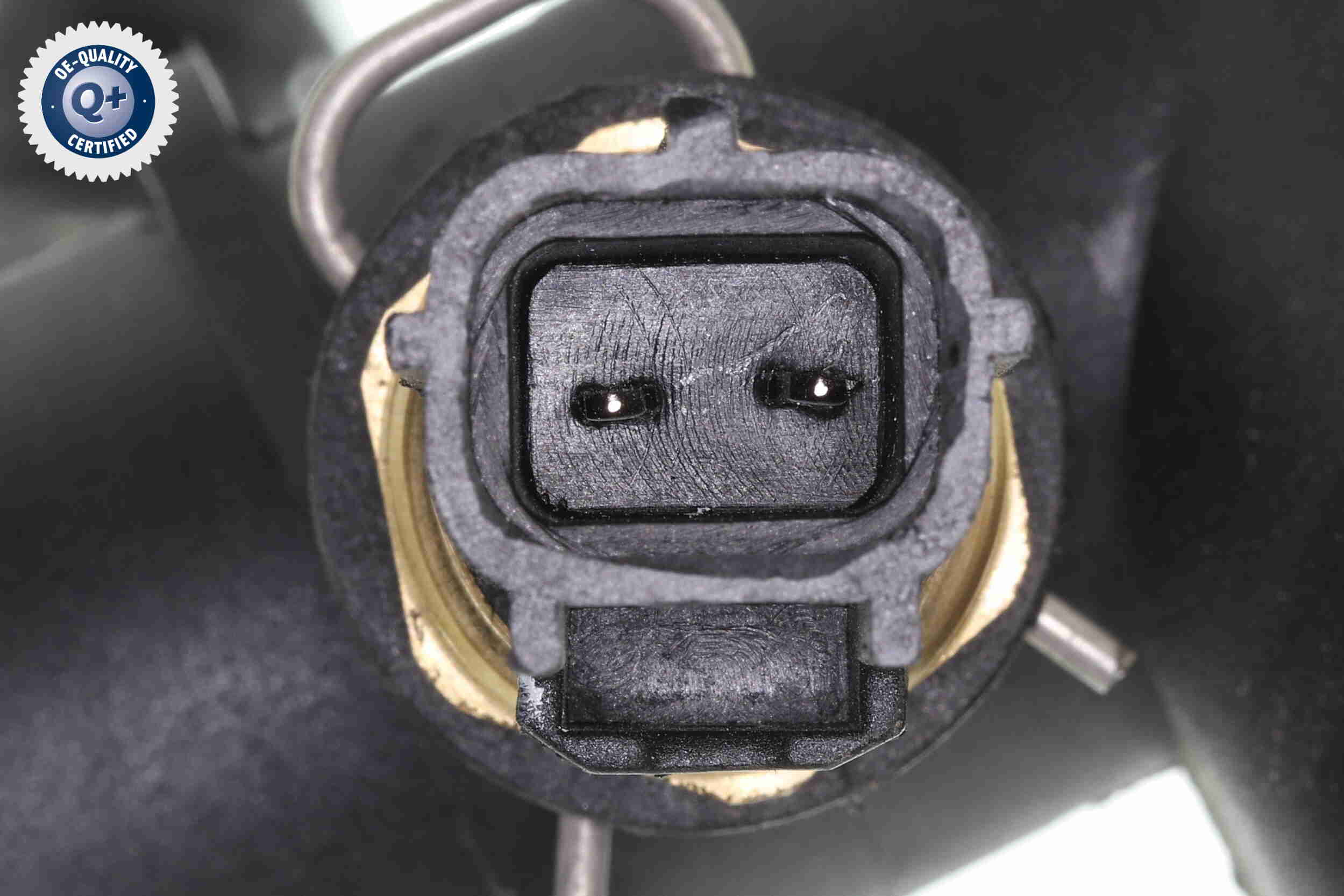 Vaico Radiateurslang V41-0037