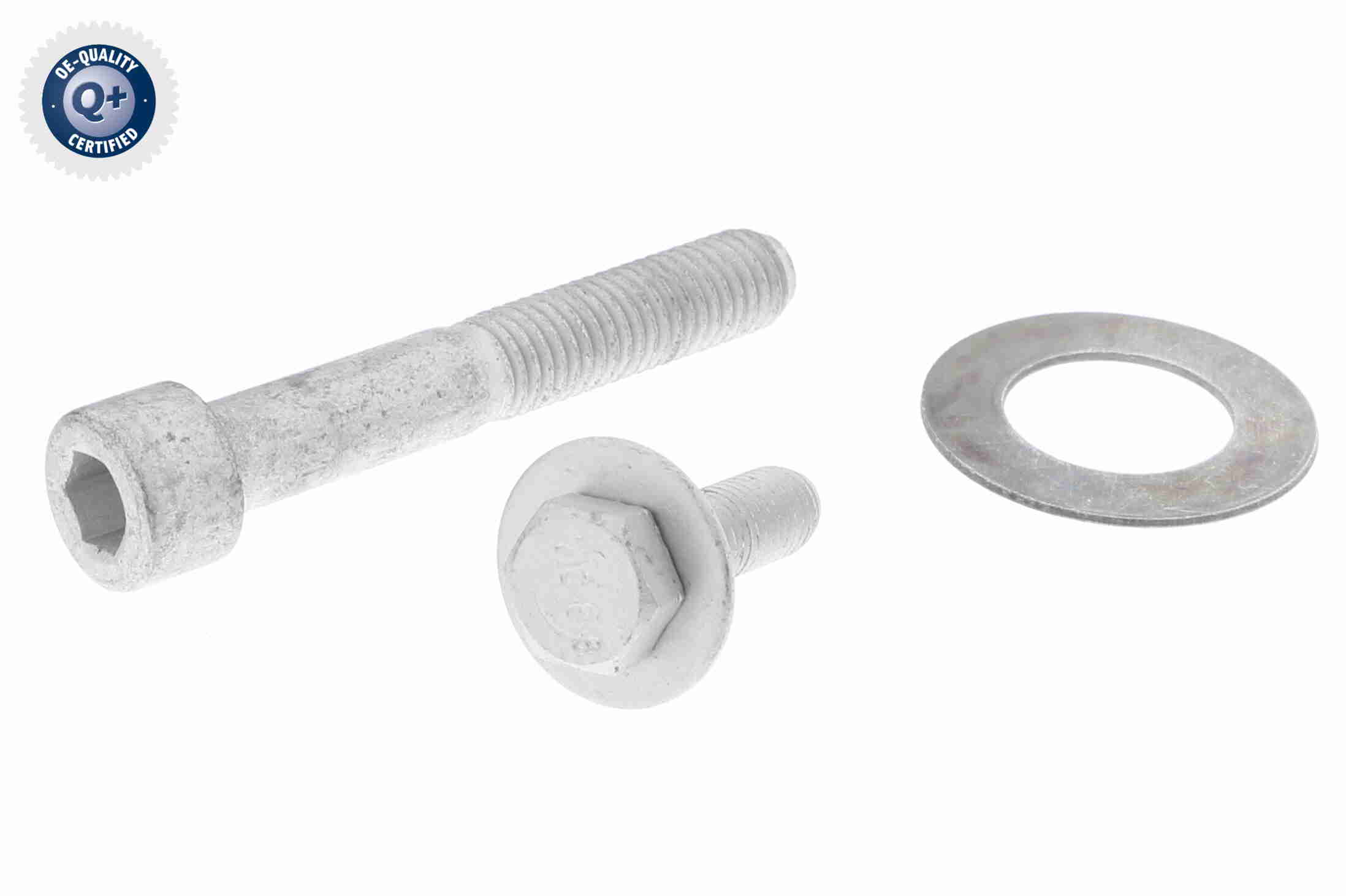 Vaico Spanner poly V-riem V42-0172