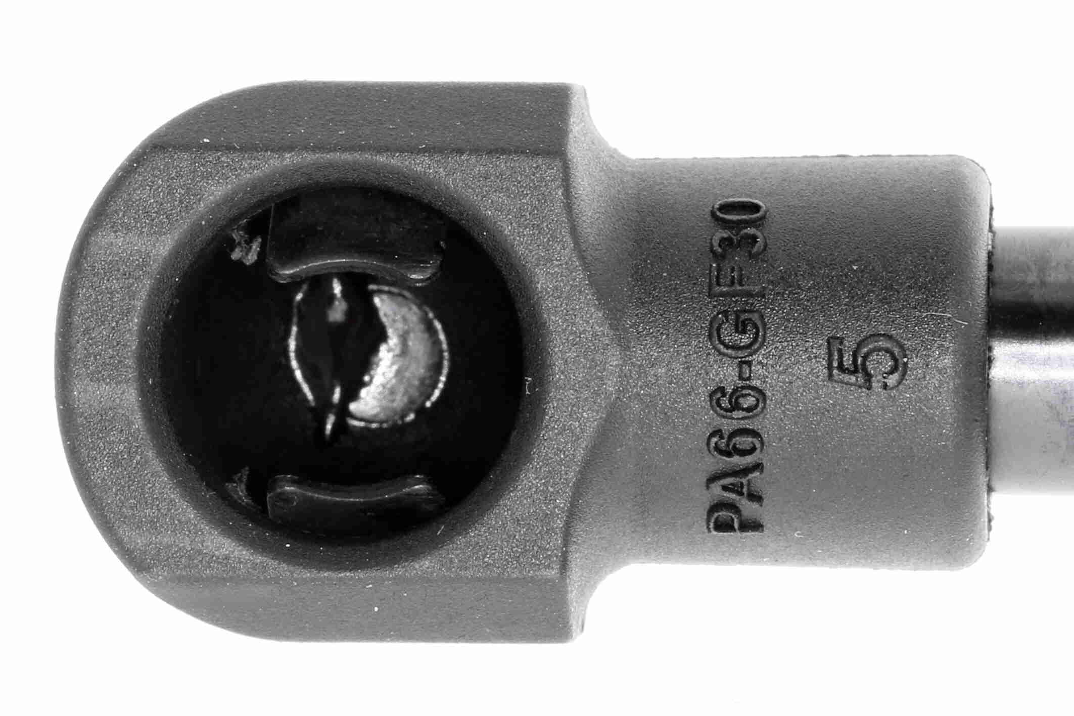 Vaico Gasveer, motorkap V48-0219