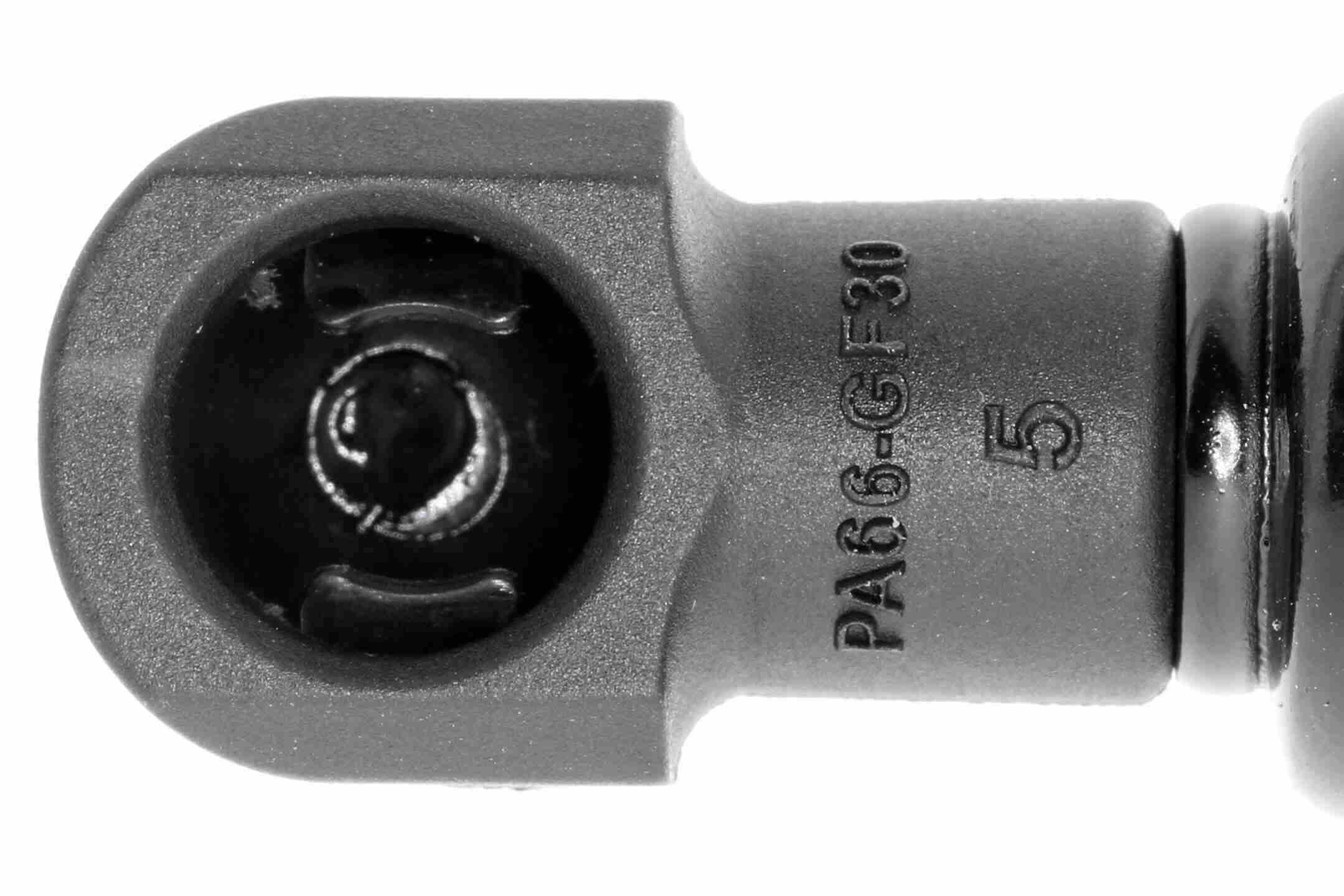 Vaico Gasveer, motorkap V48-0219