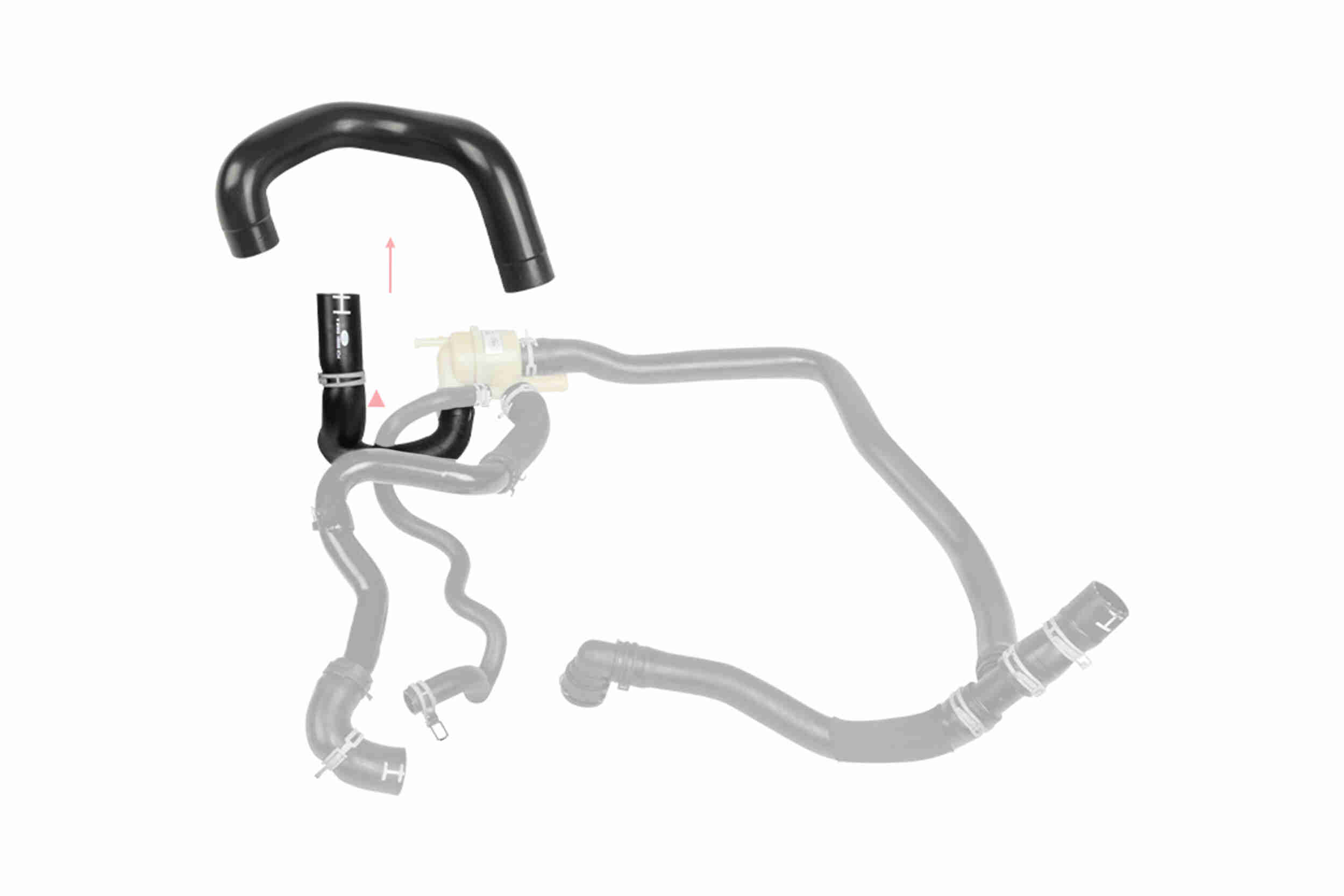 Radiateurslang Vaico V48-0581