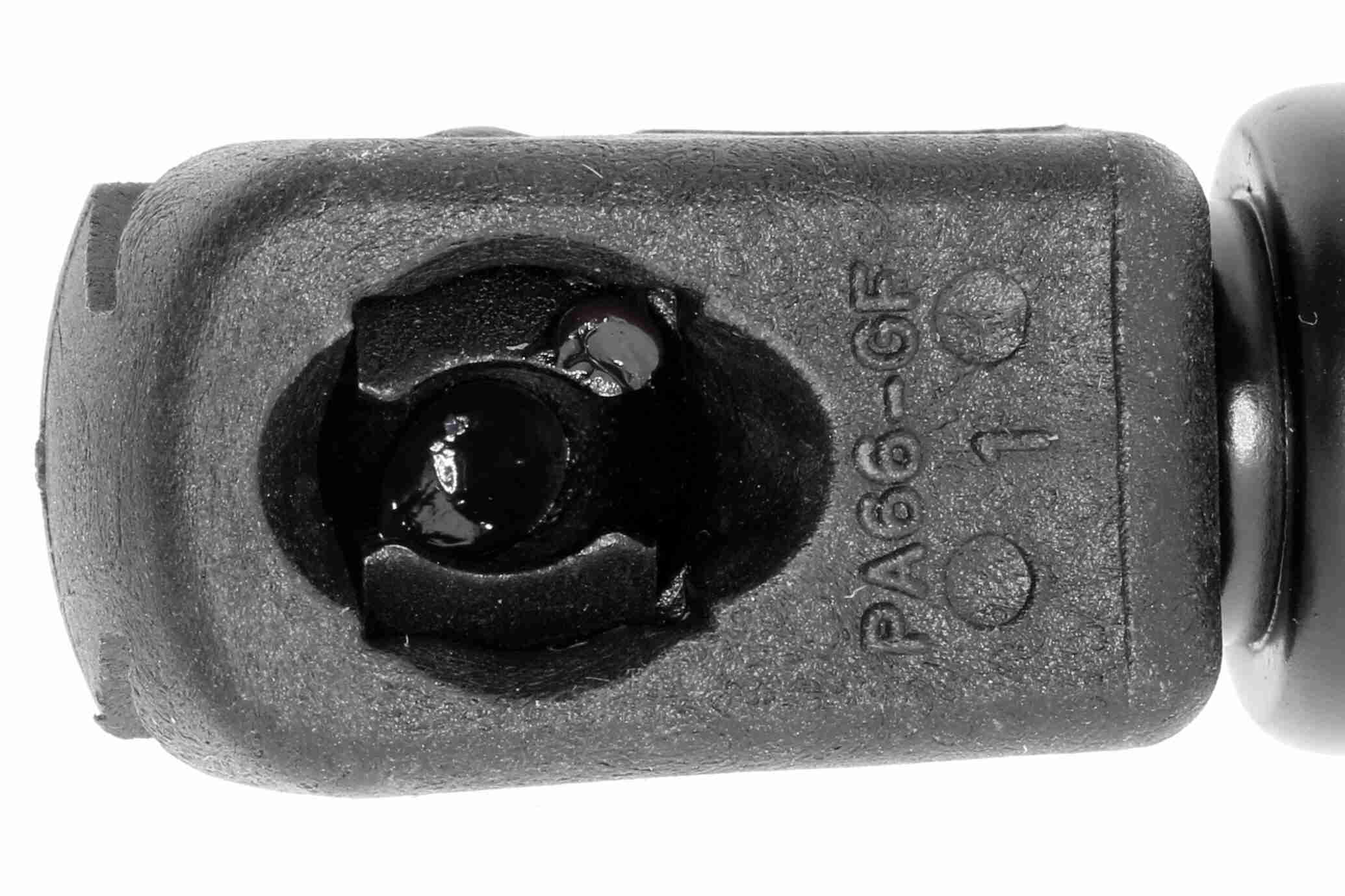 Vaico Gasveer, motorkap V52-0024