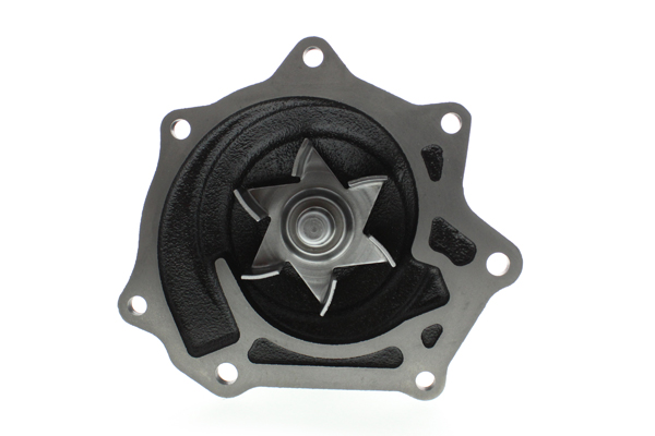 Aisin Waterpomp WPN-002