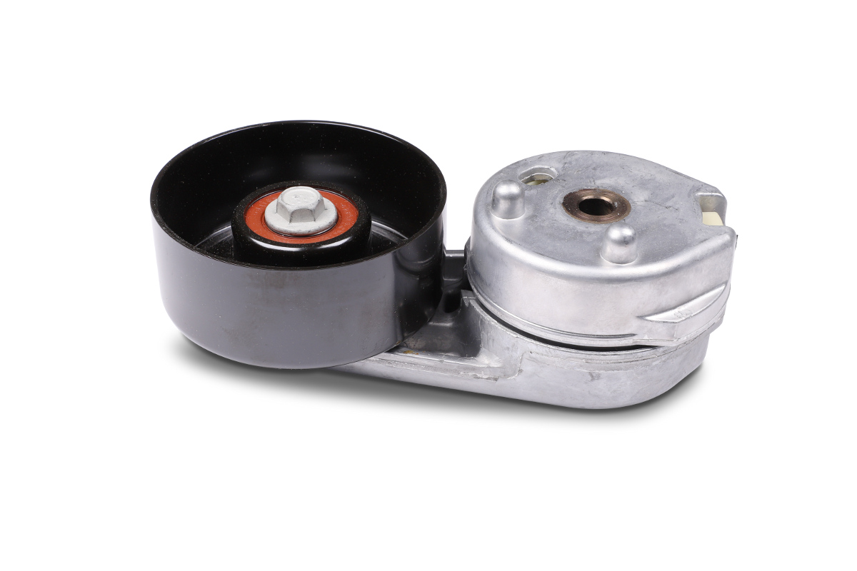 Spanner poly V-riem Hepu 15-4433