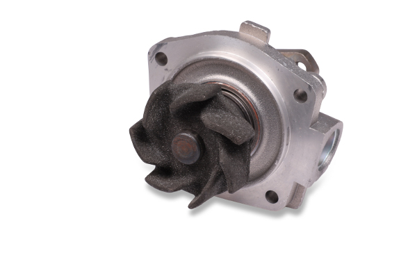 Hepu Waterpomp P065S