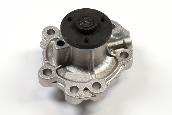 Waterpomp Hepu P396