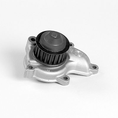 Waterpomp Hepu P7384