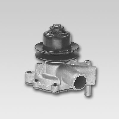 Waterpomp Hepu P753