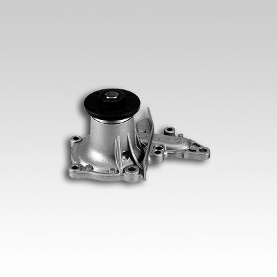 Hepu Waterpomp P767