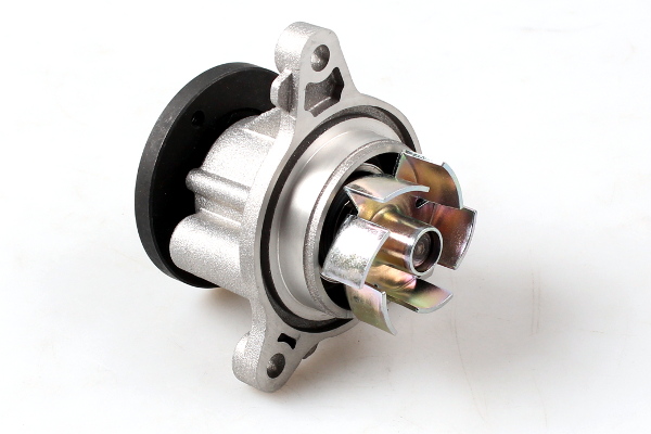 Hepu Waterpomp P7855