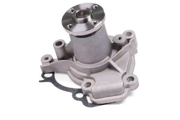 Waterpomp Hepu P7971