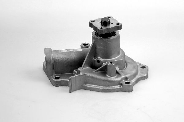 Waterpomp Hepu P7994
