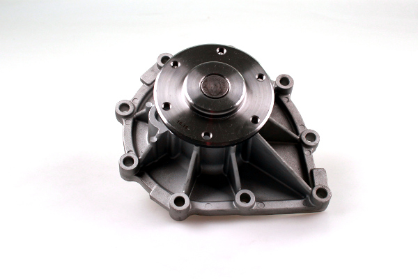 Waterpomp Hepu P9996