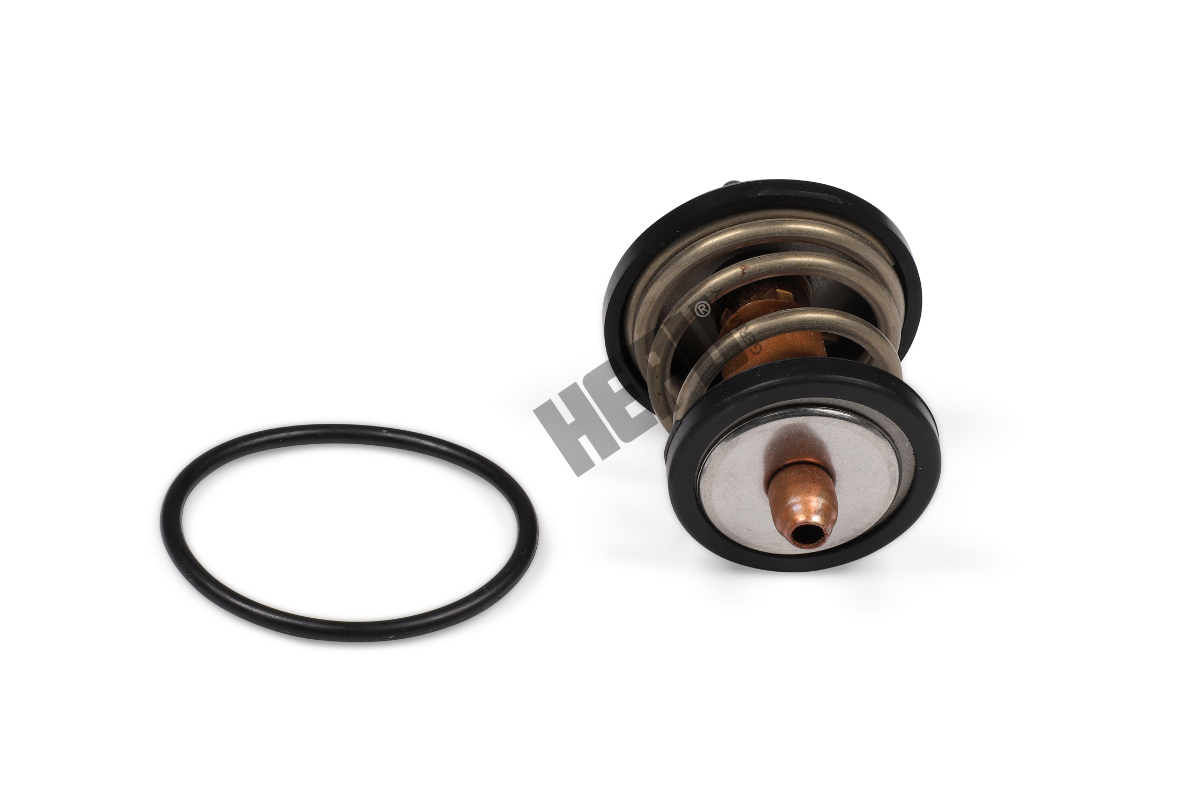 Hepu Thermostaat TM1003