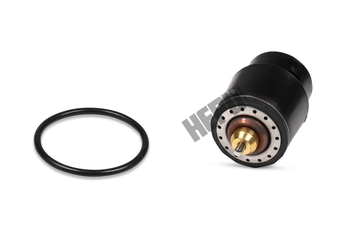 Hepu Thermostaat TM1241