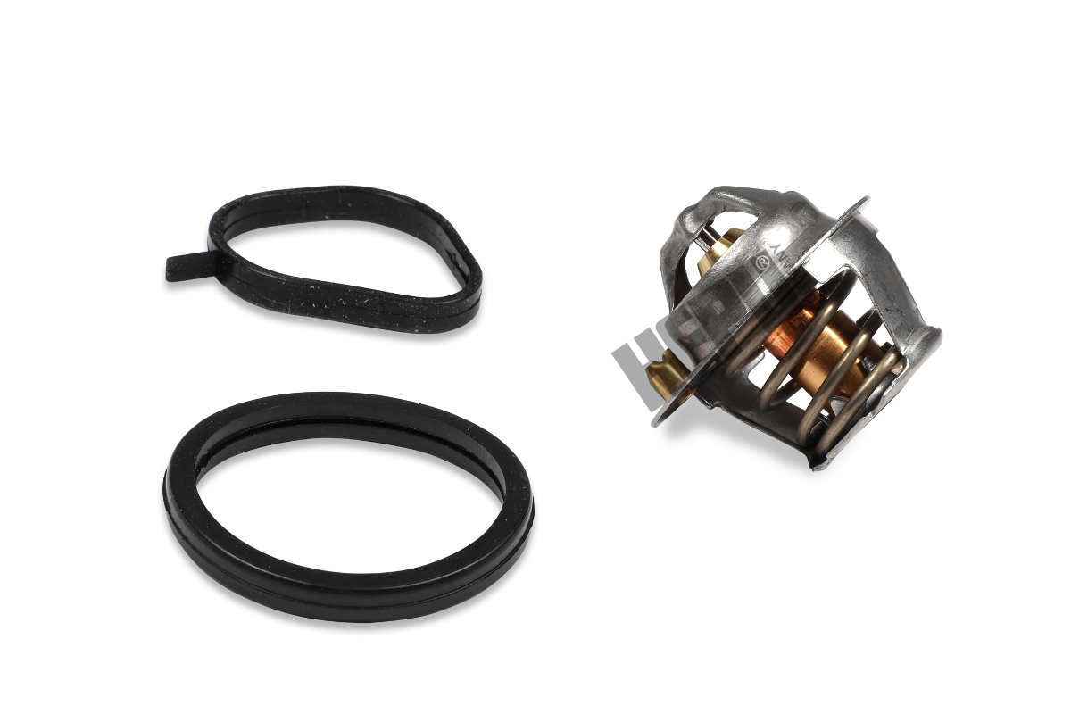 Hepu Thermostaat TM1267