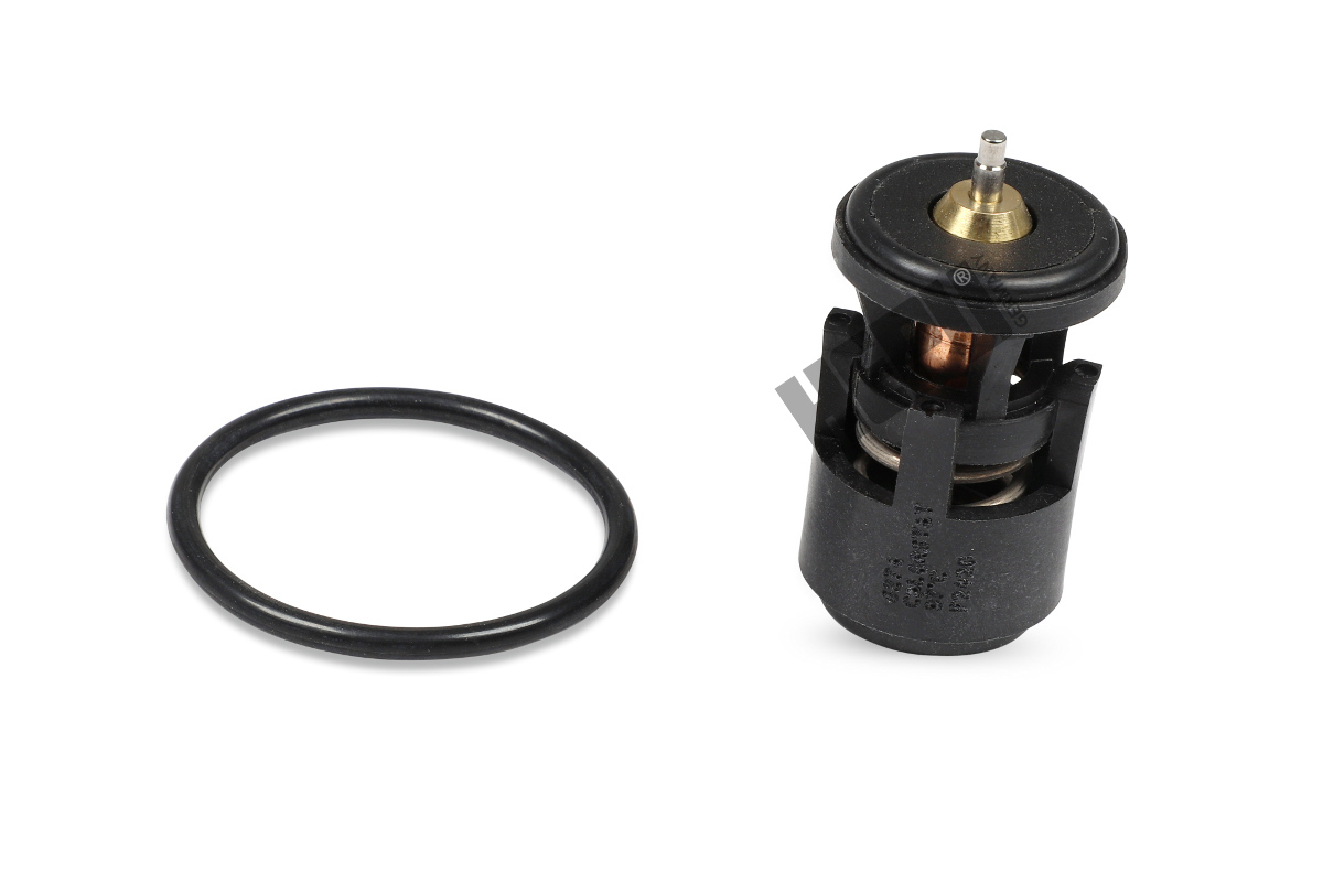 Hepu Thermostaat TM1302