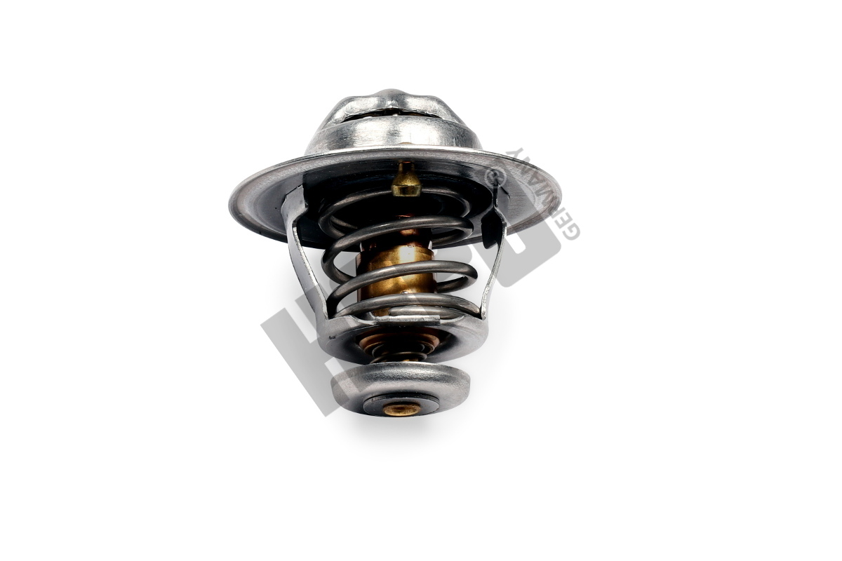 Hepu Thermostaat TM1386