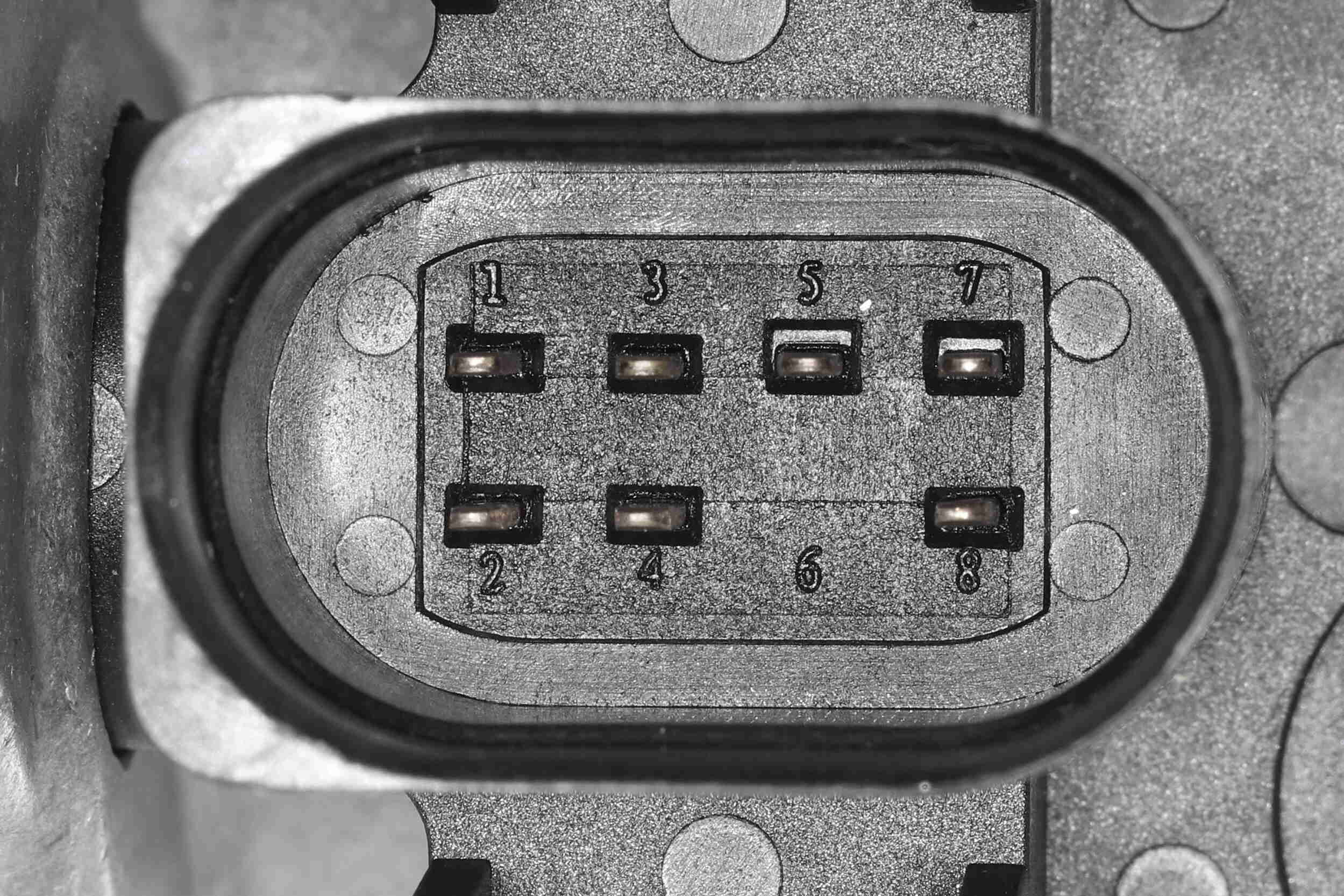 Vemo Gasklephuis V10-81-0005
