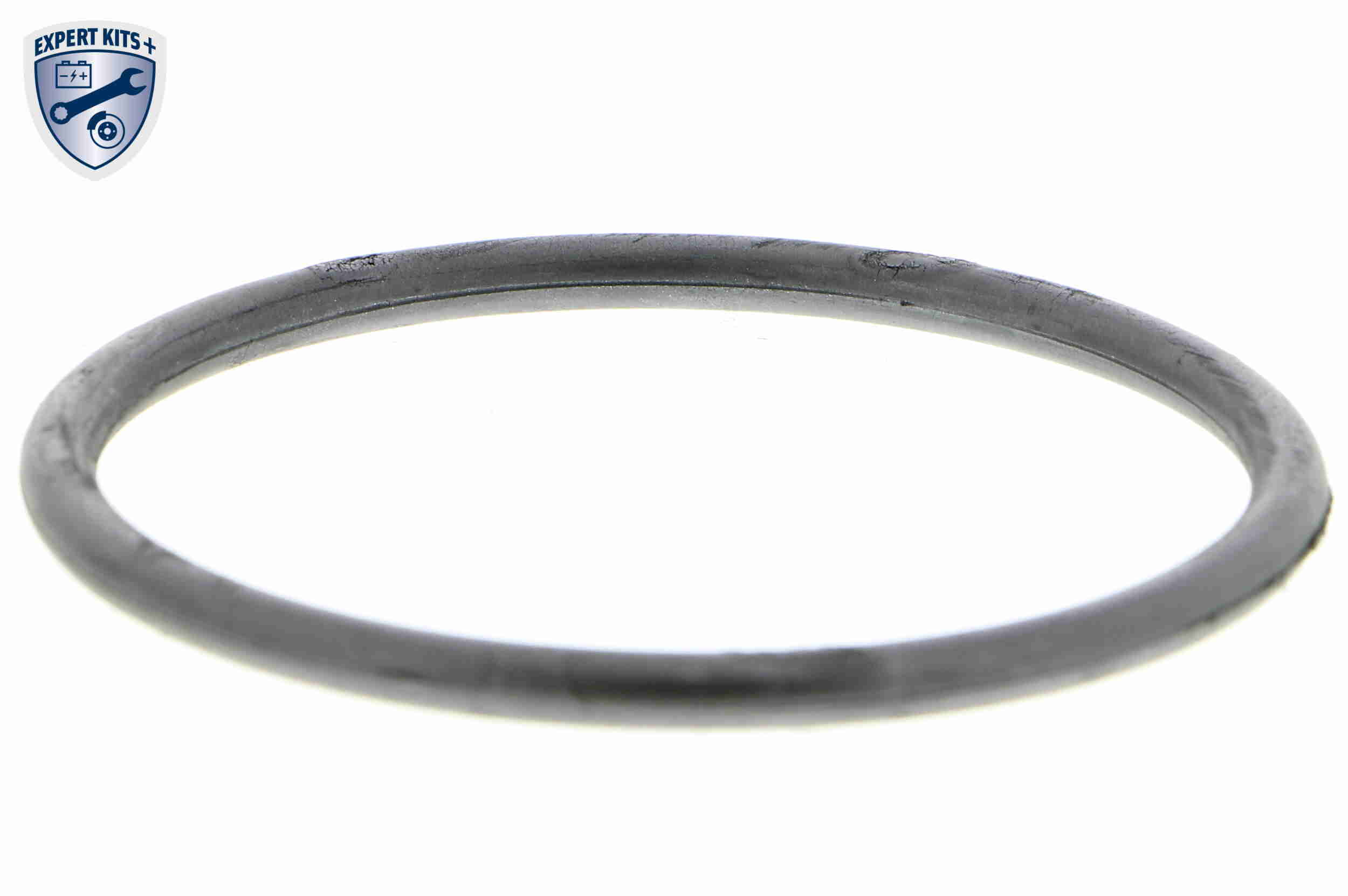 Vemo Thermostaathuis V15-99-2022-1