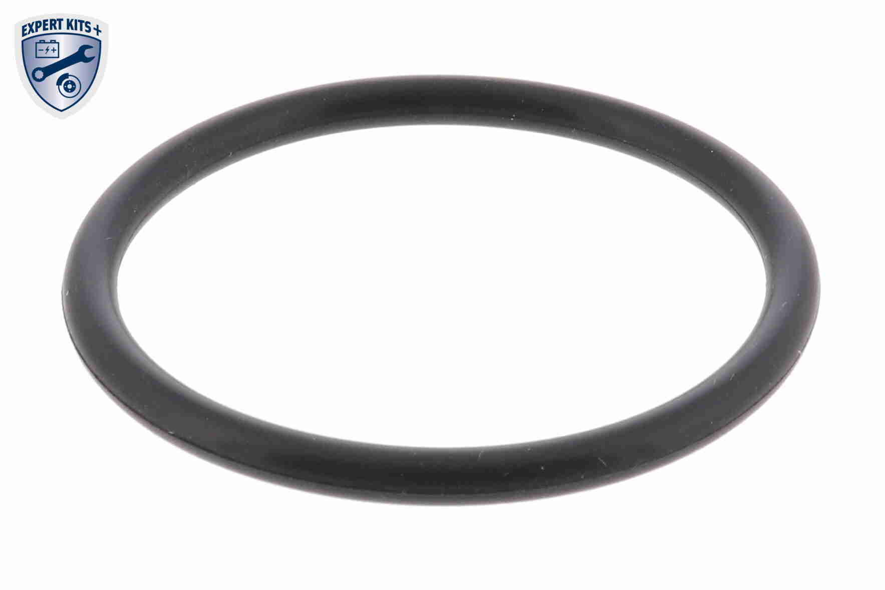 Vemo Thermostaathuis V15-99-2038