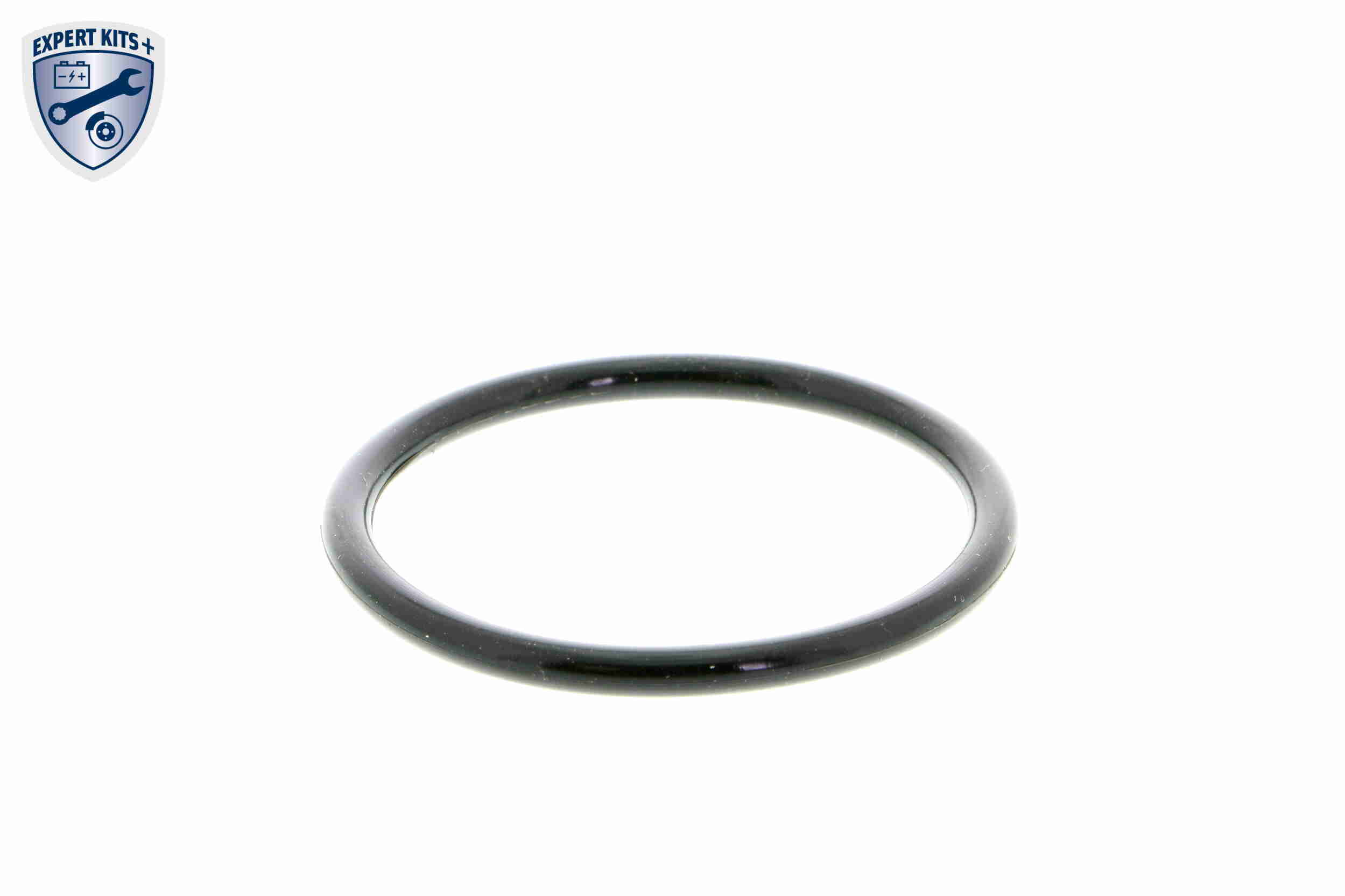 Vemo Thermostaathuis V15-99-2054
