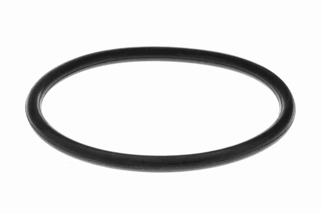 Vemo Thermostaathuis V15-99-2128
