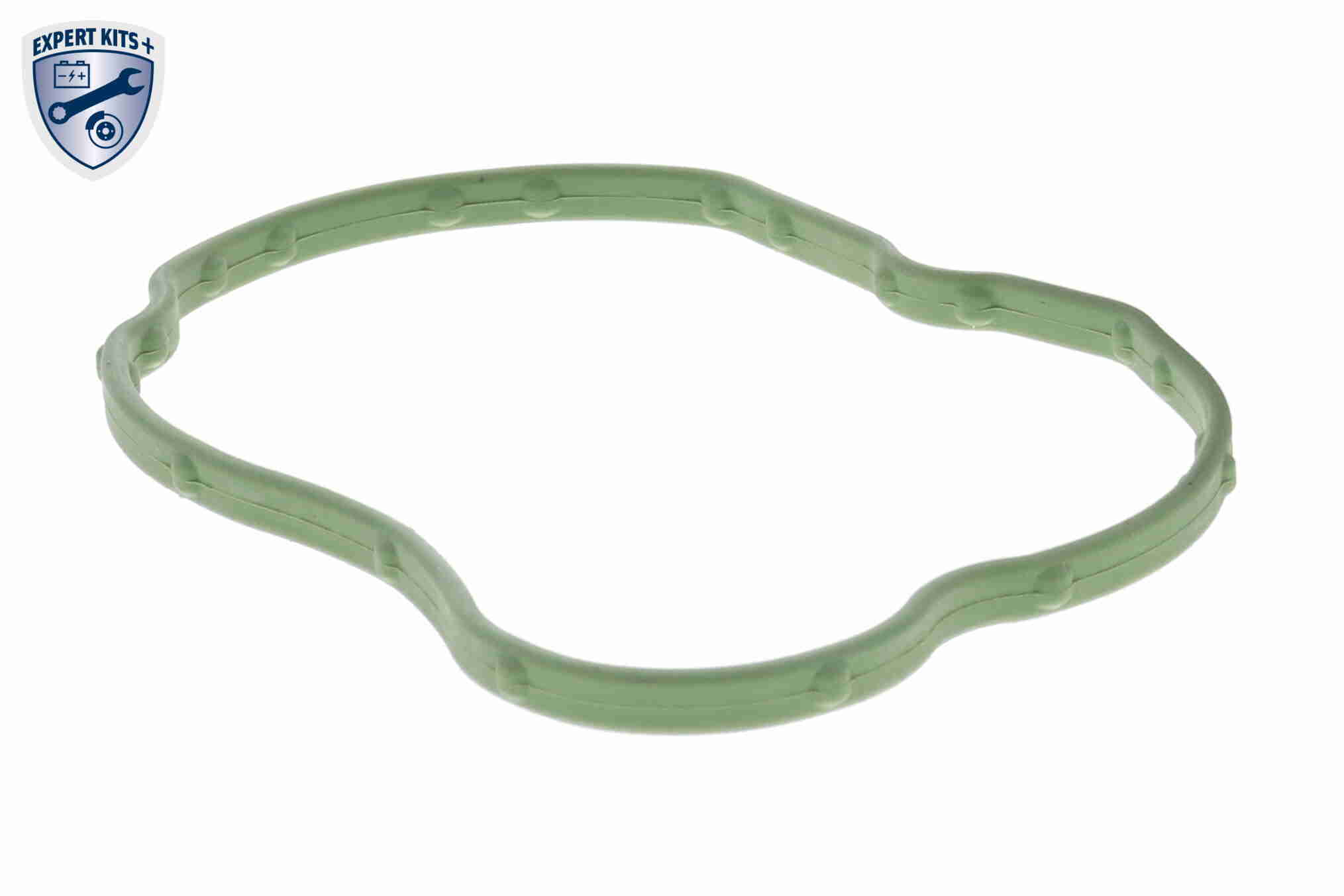 Vemo Thermostaathuis V20-99-0177