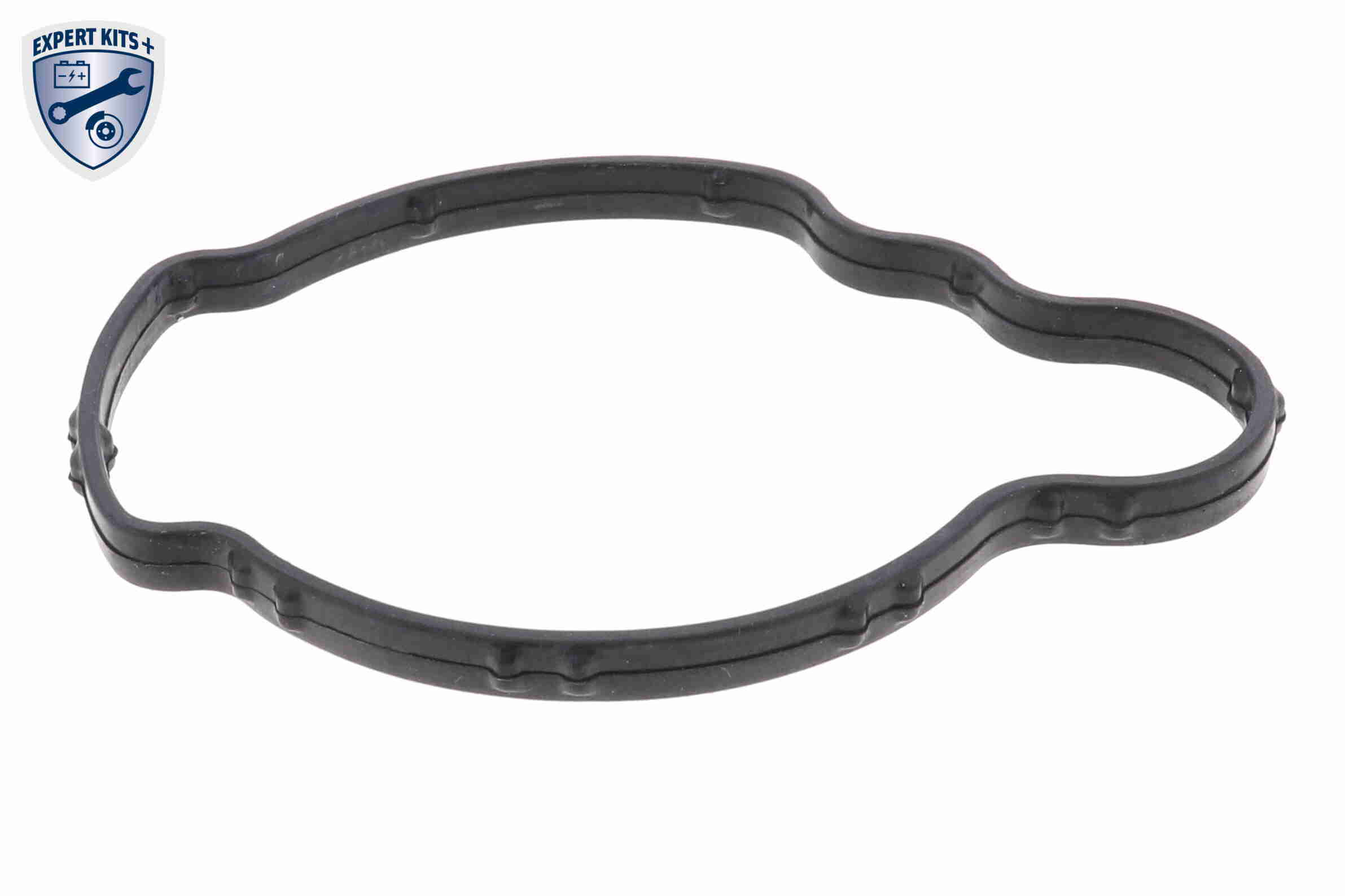 Vemo Thermostaathuis V20-99-1299