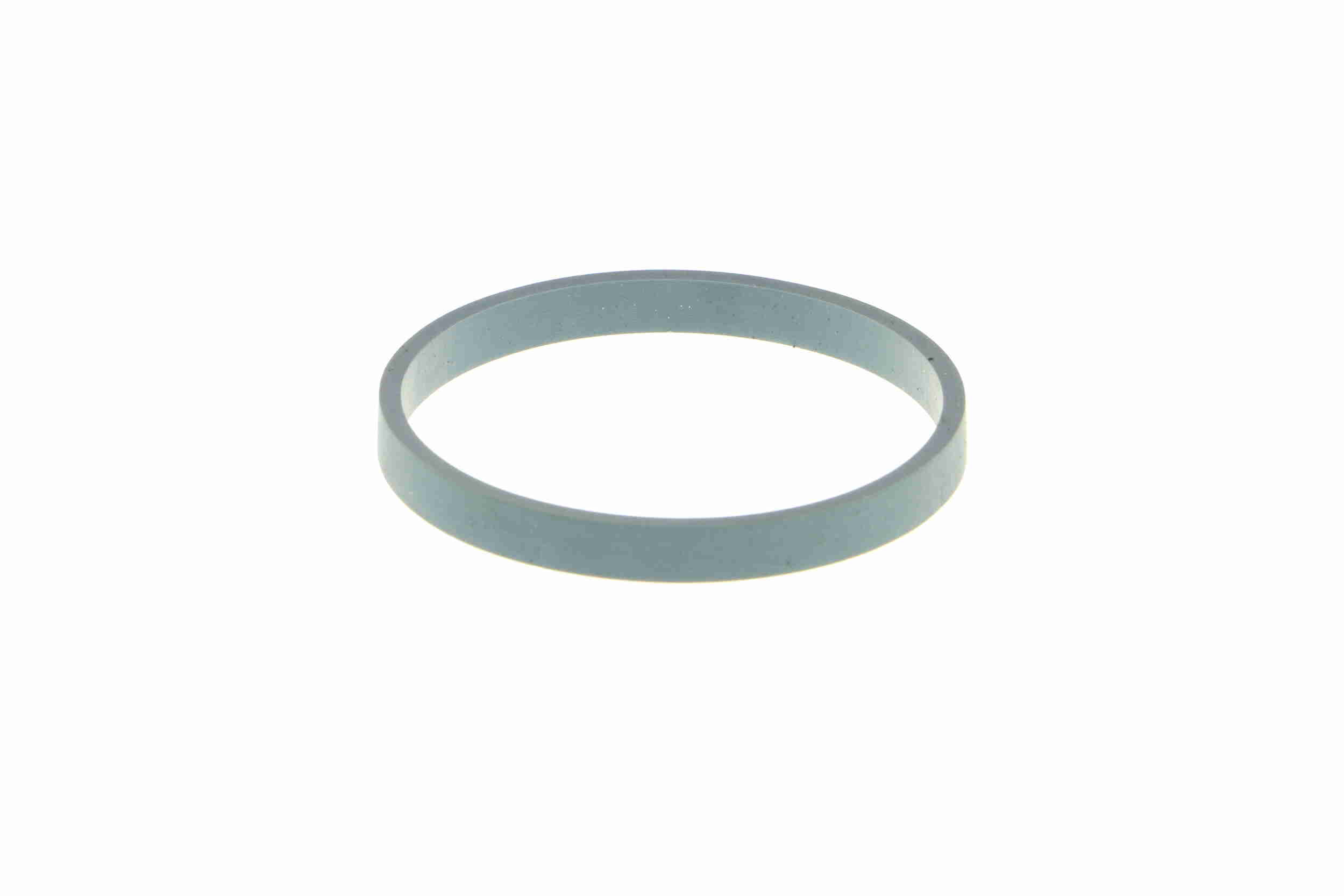 Vemo Thermostaathuis V22-99-0010