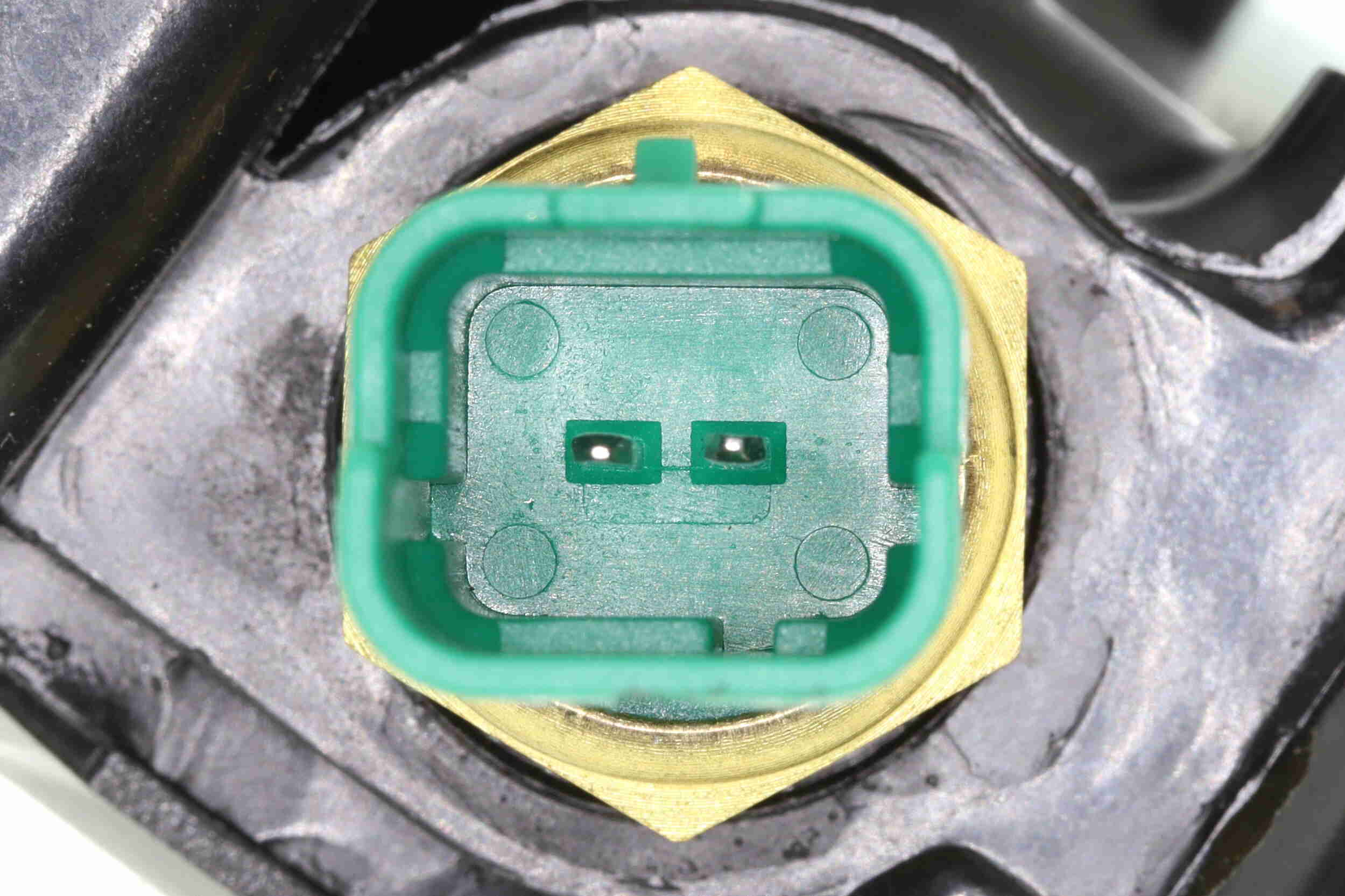 Vemo Thermostaathuis V22-99-0021