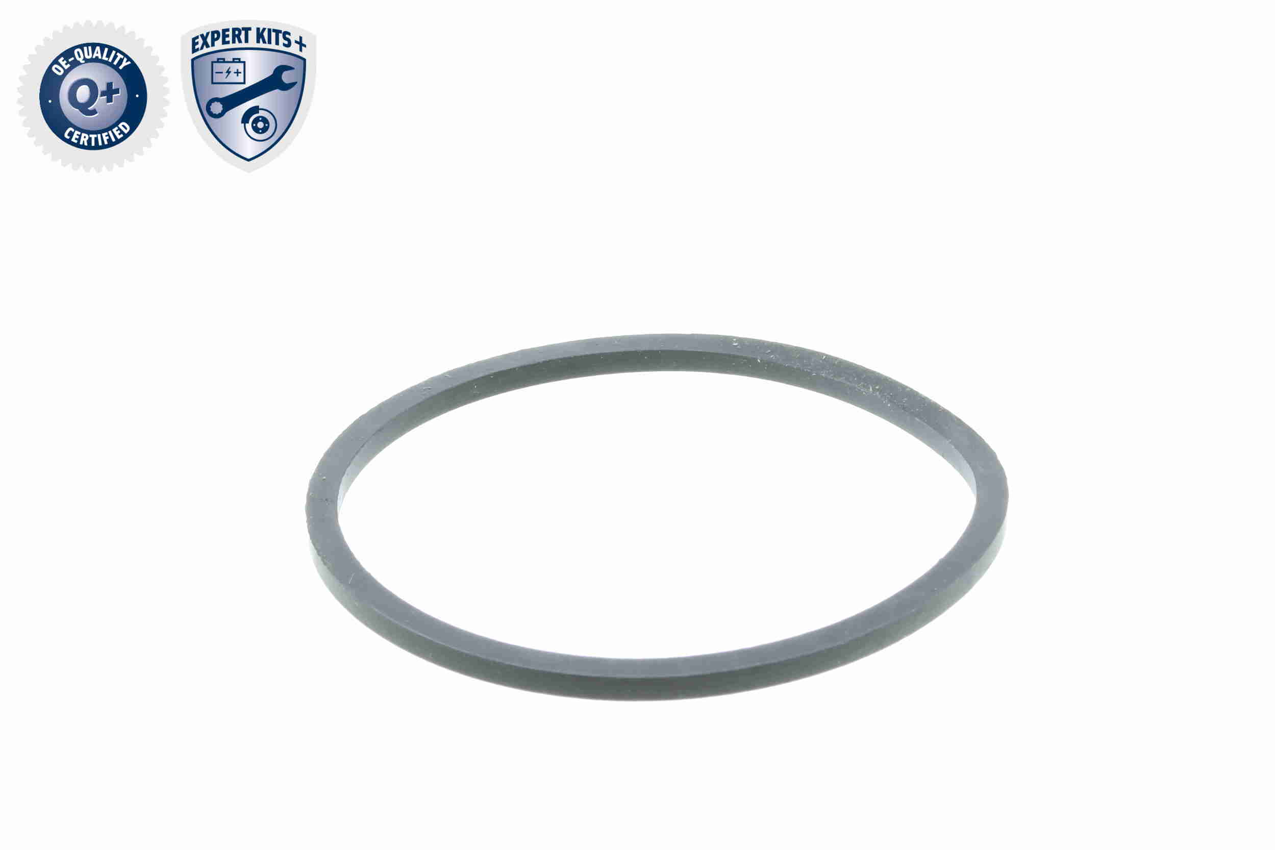 Vemo Thermostaathuis V24-99-0002