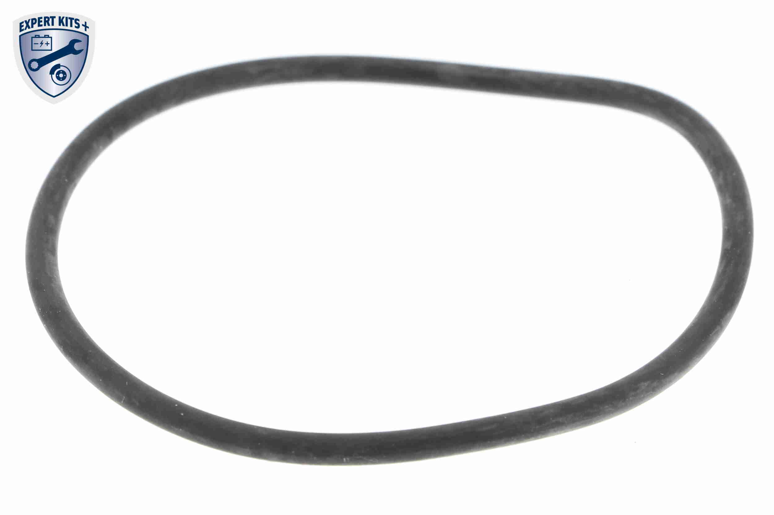 Vemo Thermostaathuis V24-99-0038