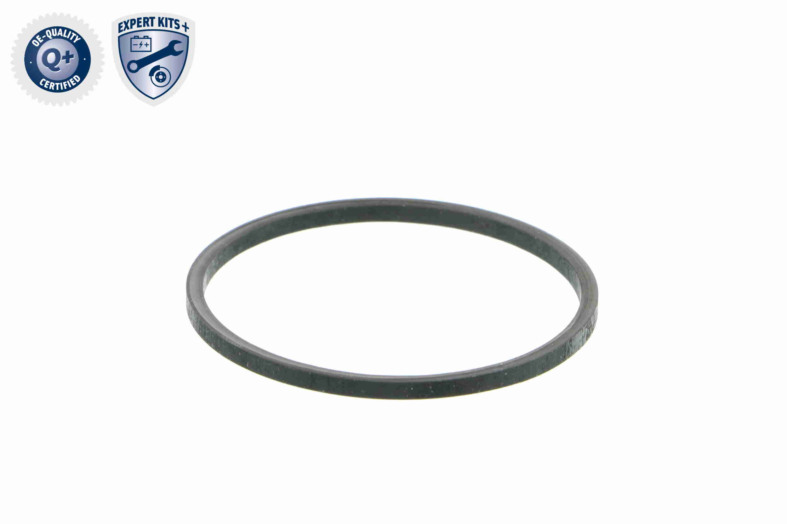Vemo Thermostaathuis V24-99-0044
