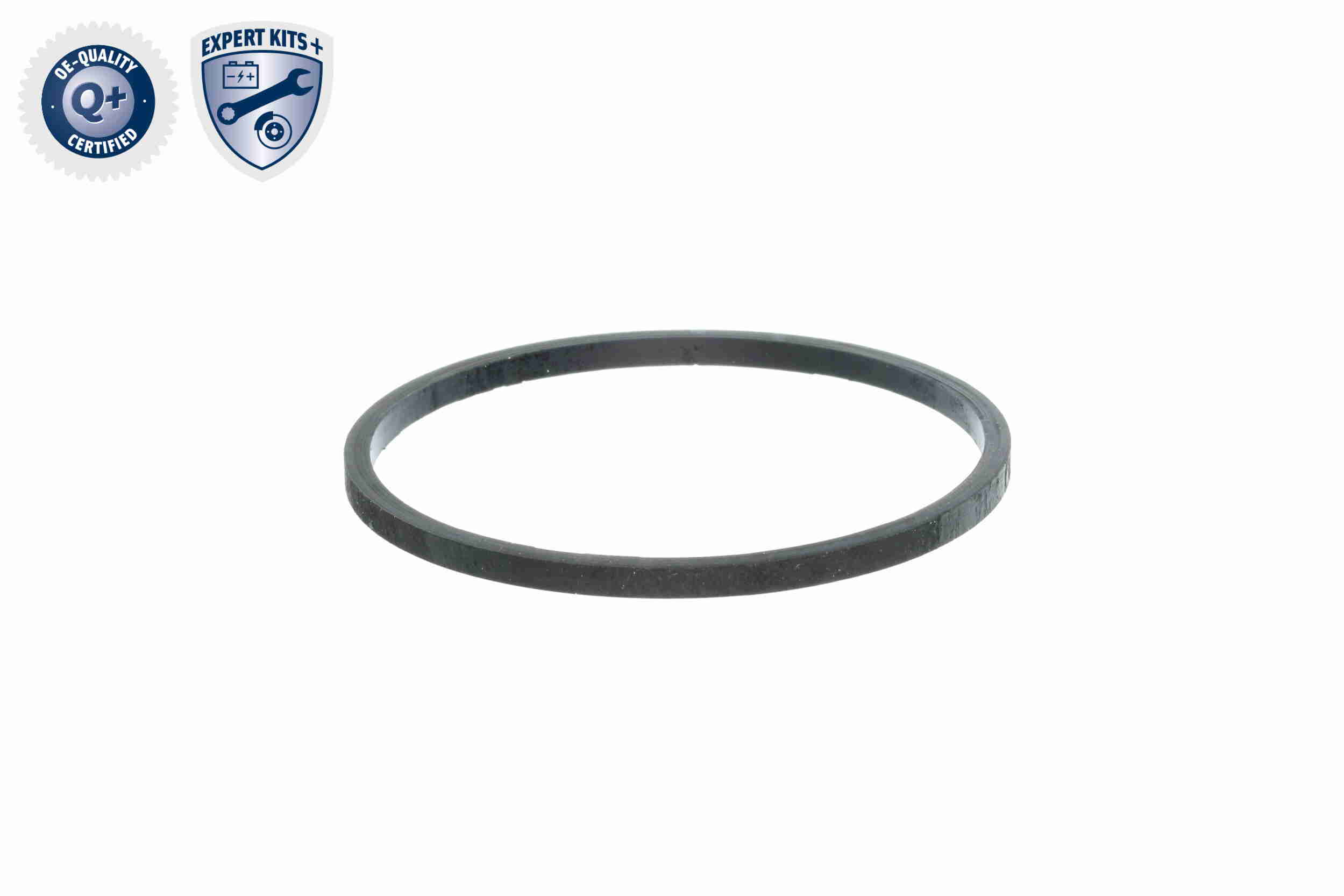 Vemo Thermostaathuis V24-99-0045