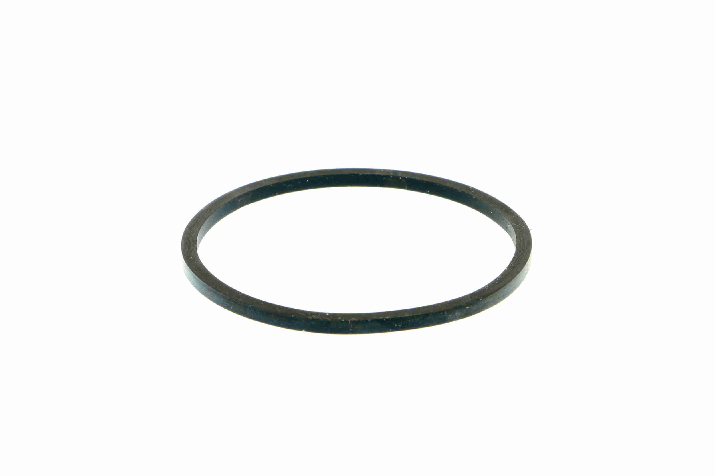 Vemo Thermostaathuis V24-99-0047