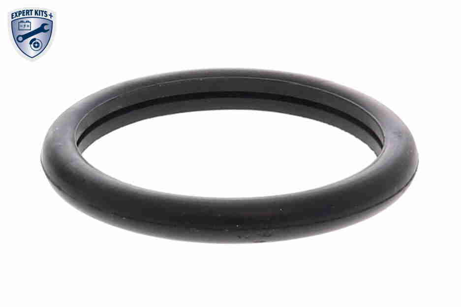Vemo Thermostaat V25-99-1707