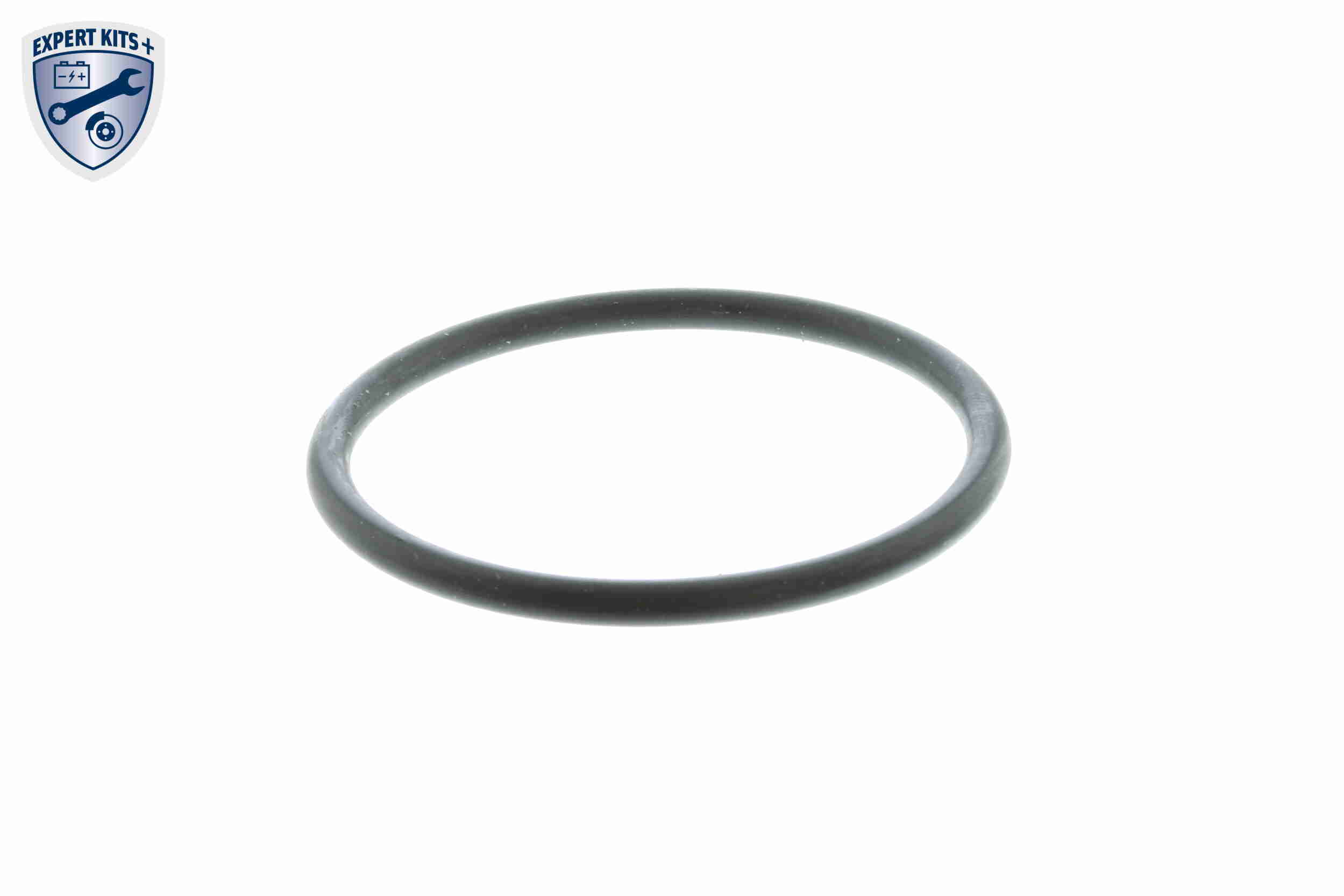 Vemo Thermostaat V25-99-1709