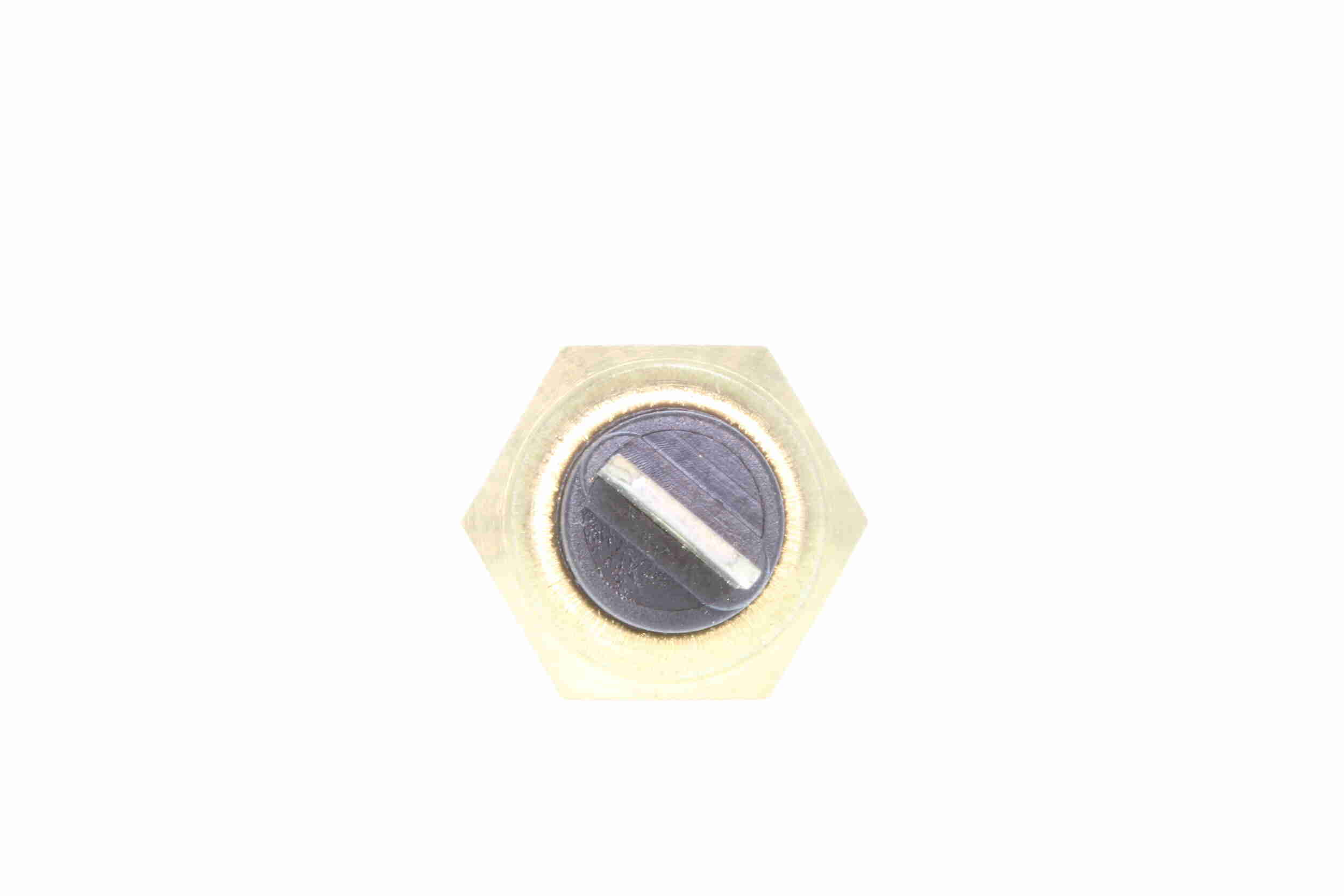 Vemo Temperatuursensor V38-72-0001