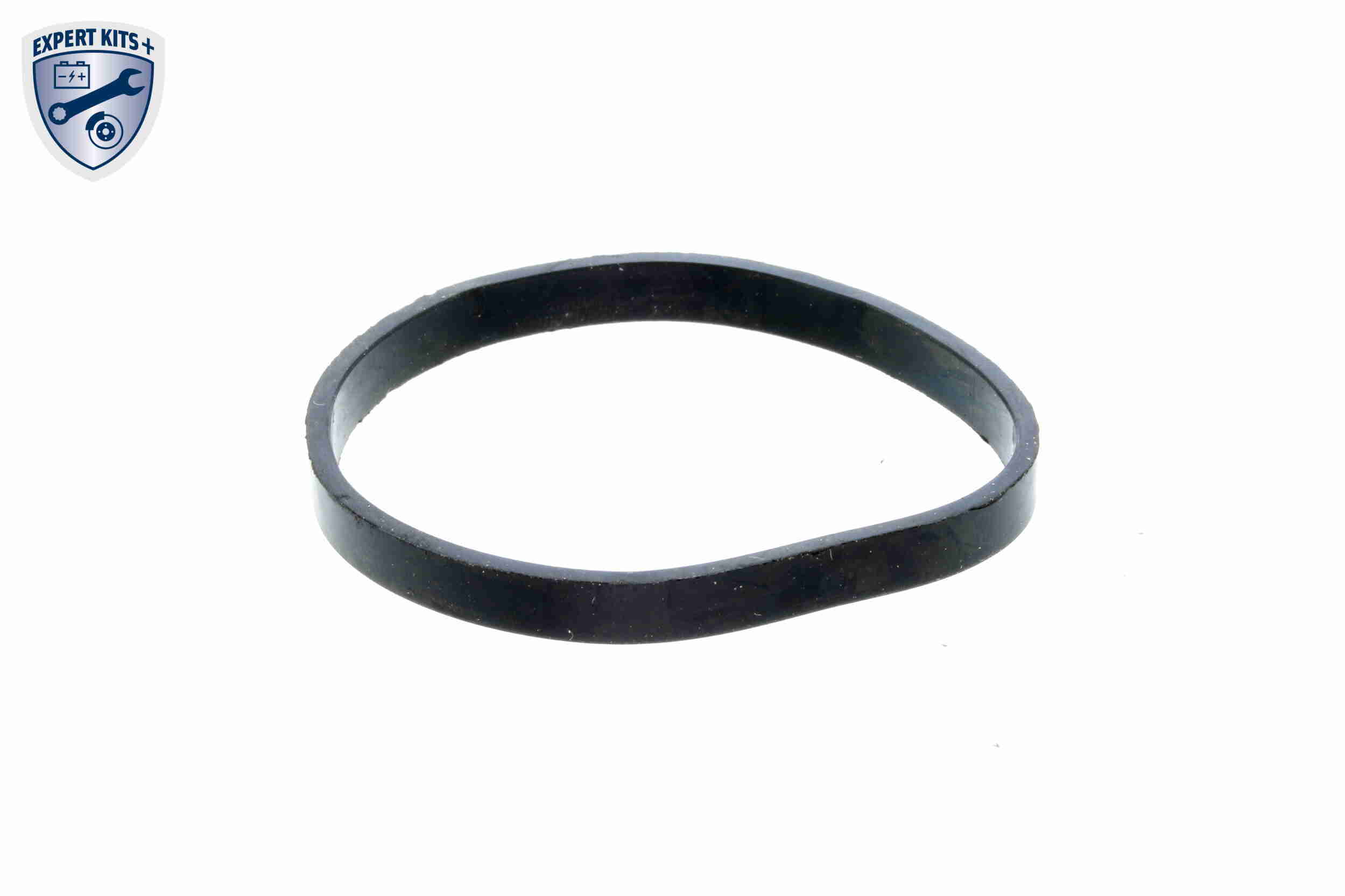 Vemo Thermostaathuis V46-99-1363