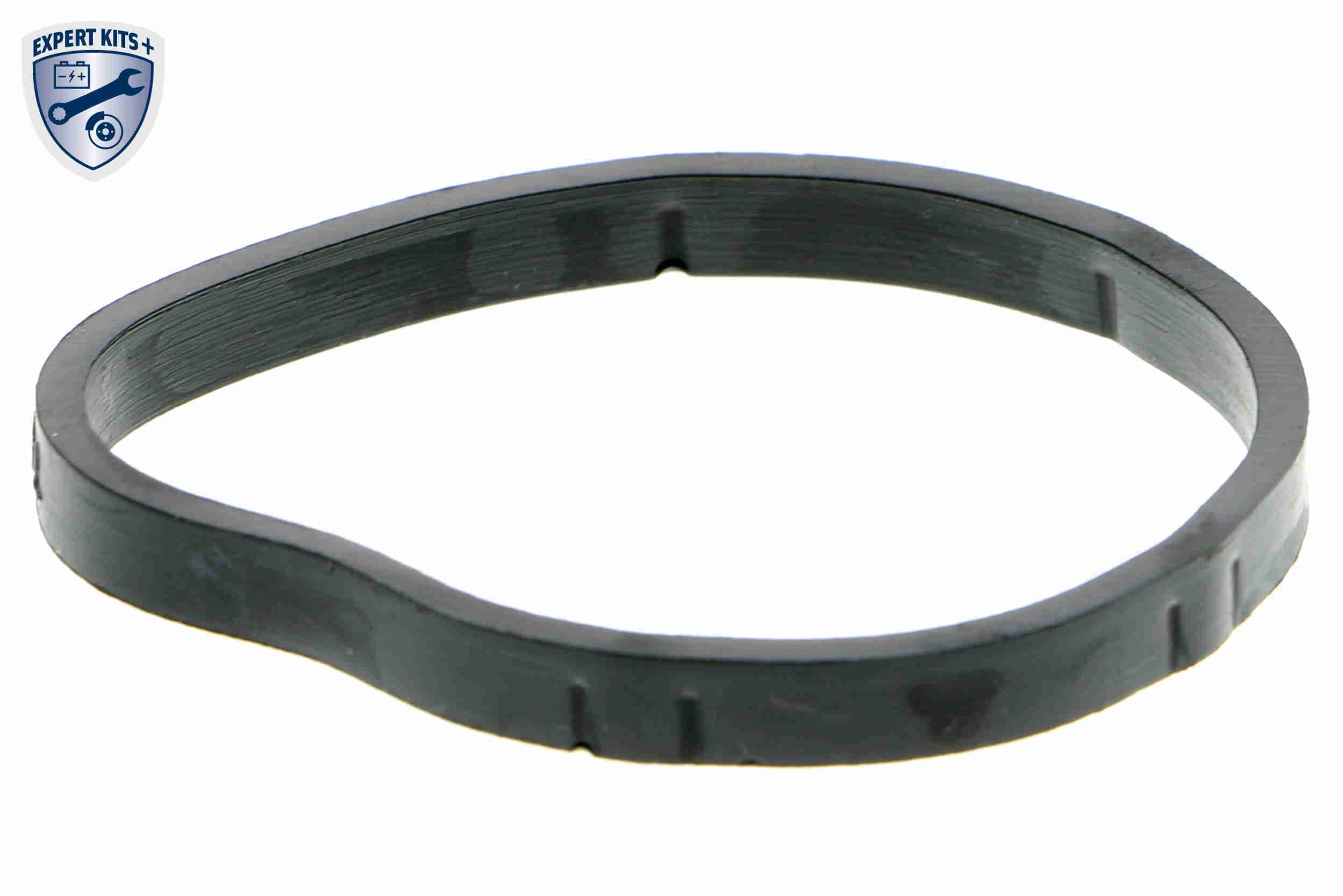Vemo Thermostaathuis V46-99-1390