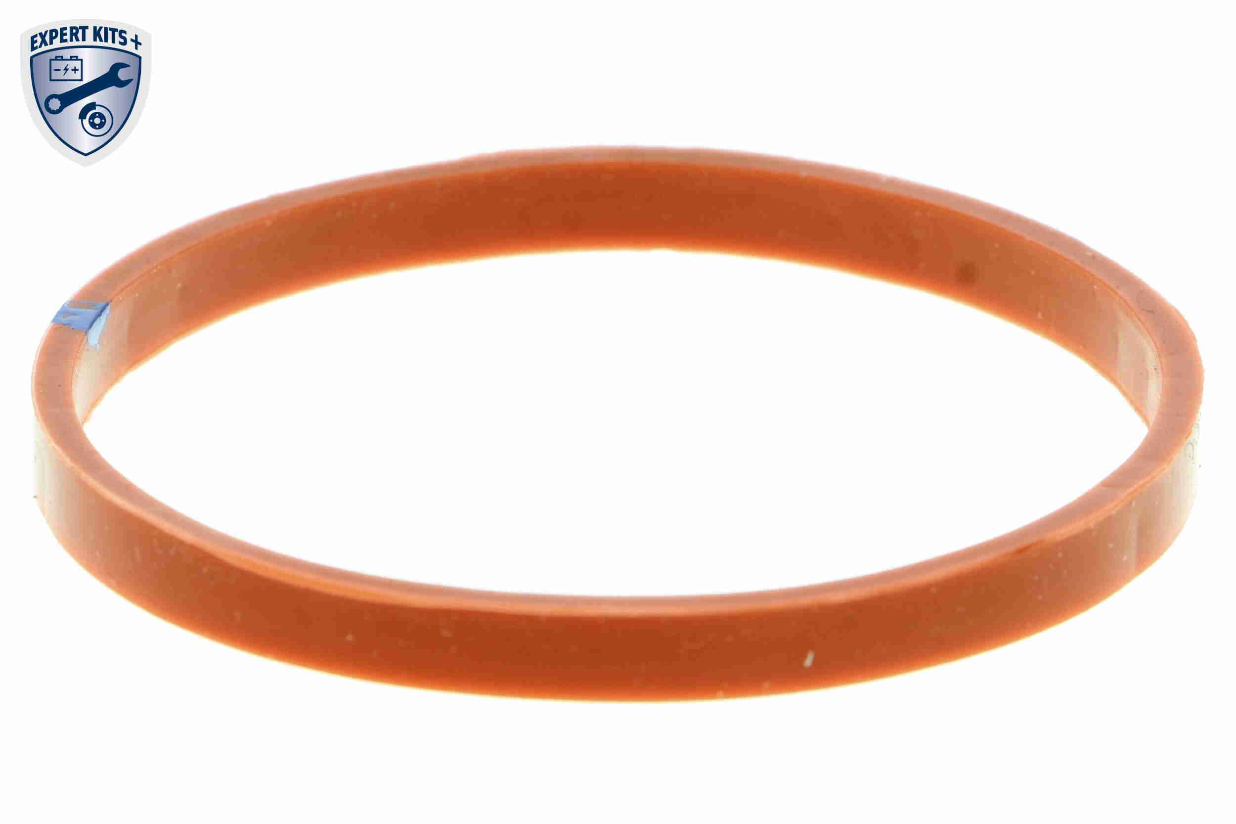 Vemo Thermostaathuis V46-99-1394